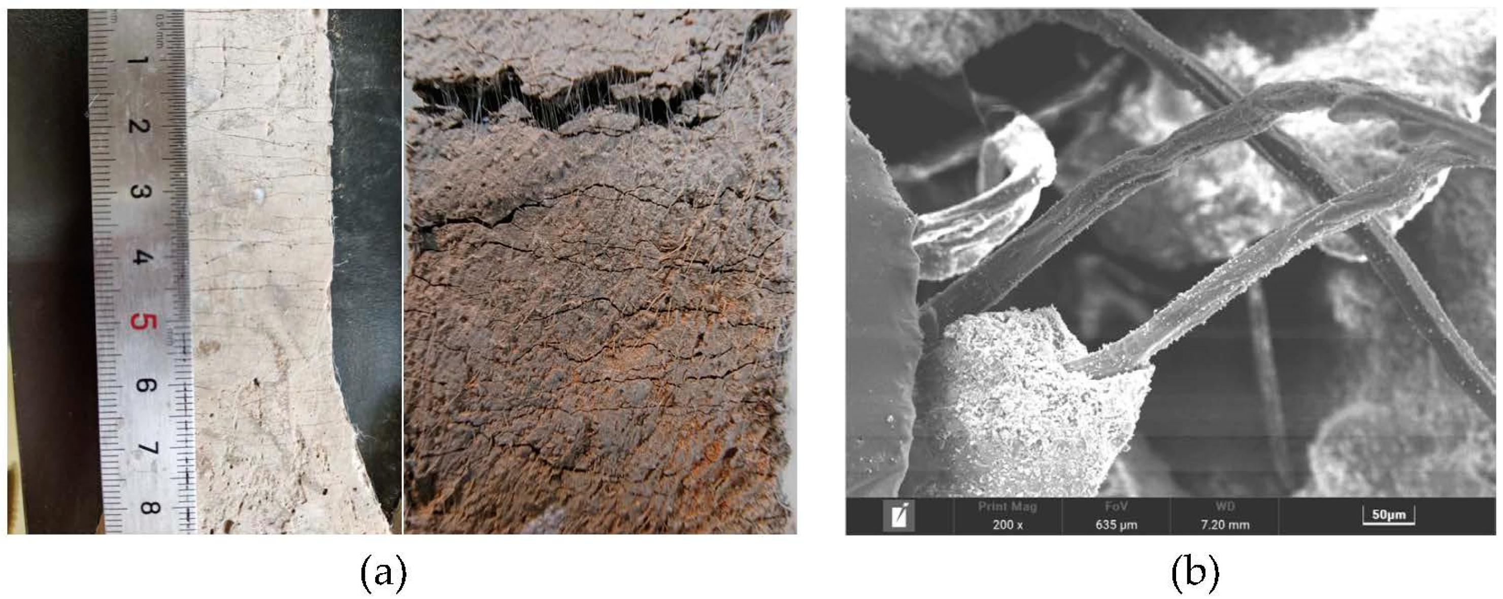 Polymers 15 01013 g009