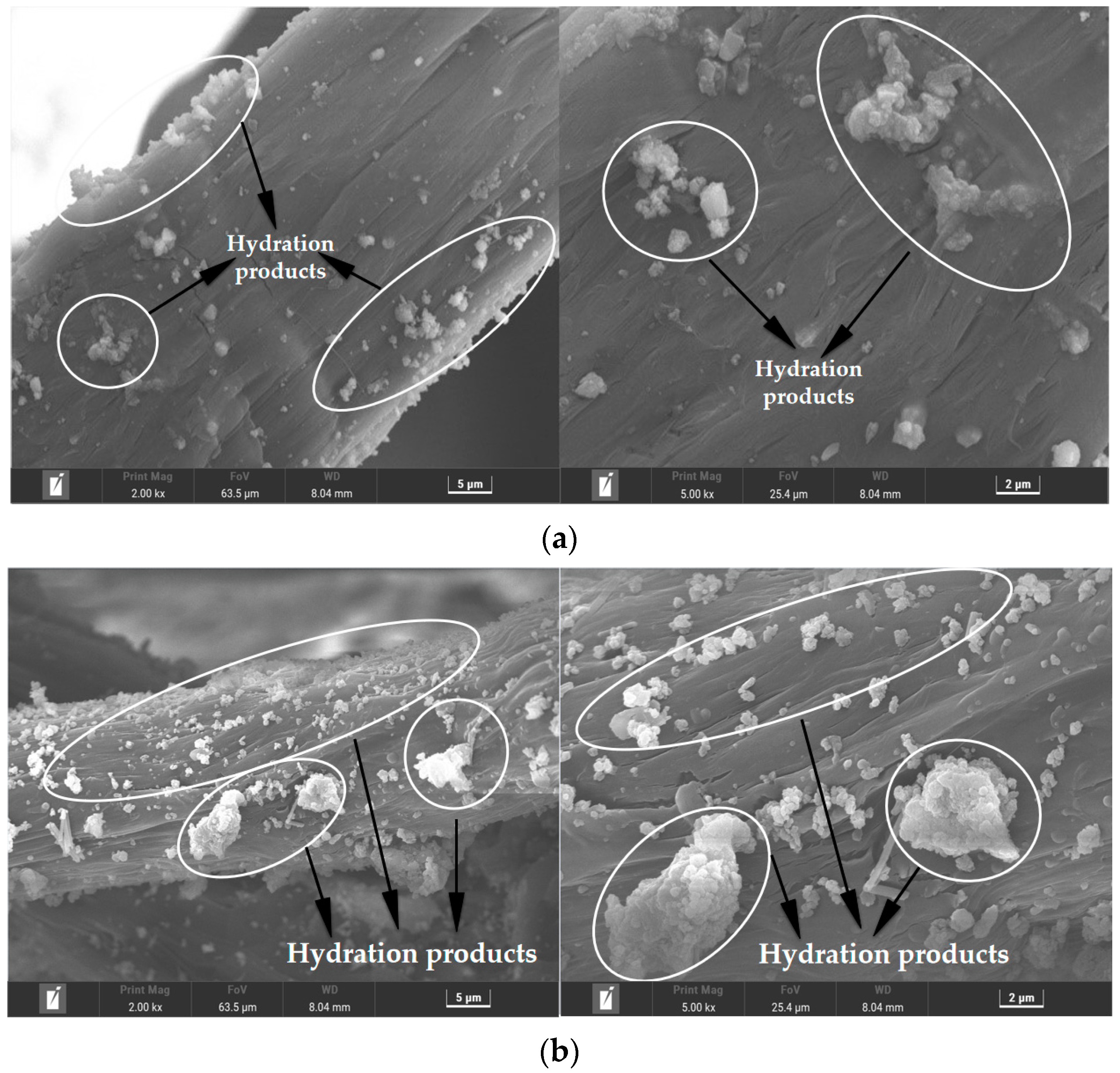 Polymers 15 01013 g018a