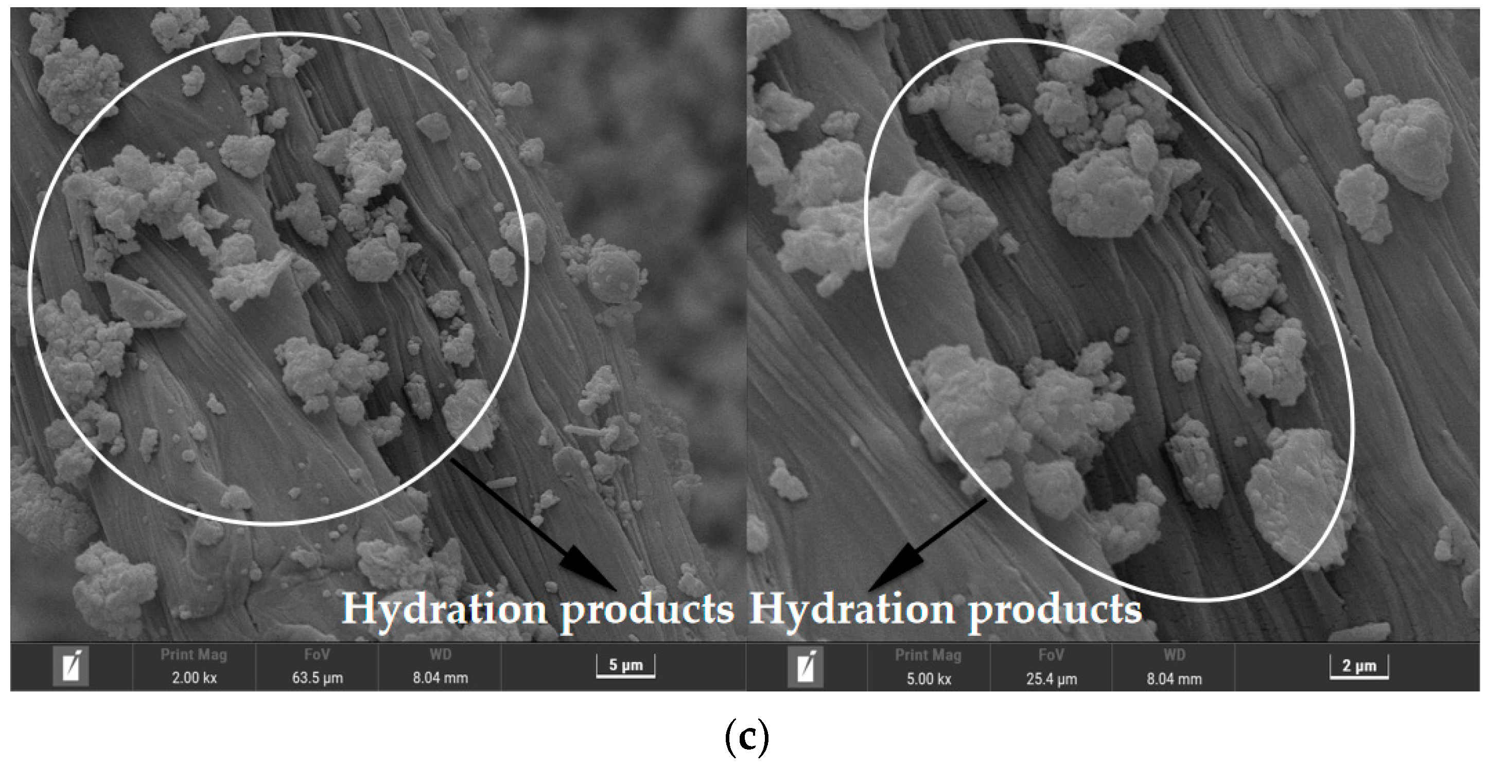 Polymers 15 01013 g018b