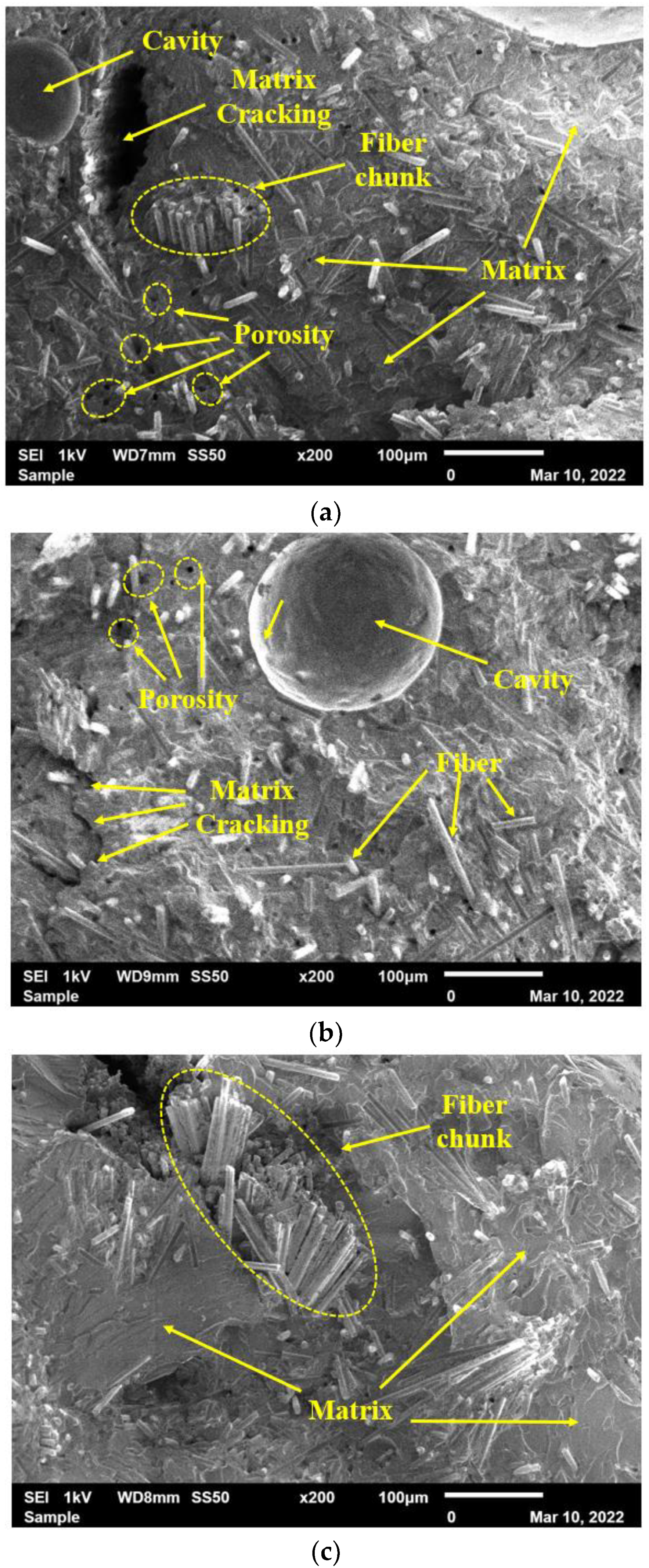 Polymers 15 01016 g022 Polymers 15 01016 g022