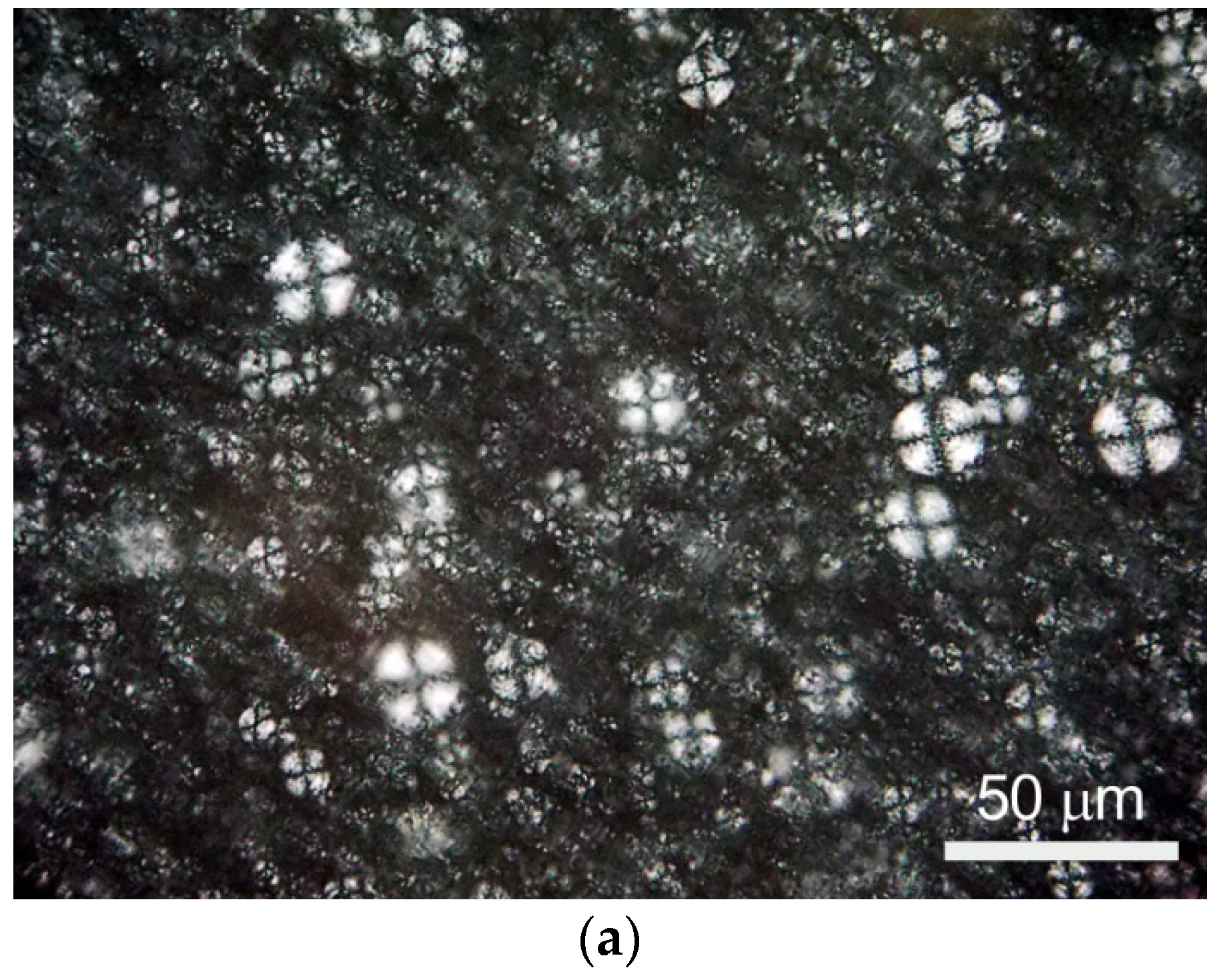 Polymers 15 01027 g002a Polymers 15 01027 g002a