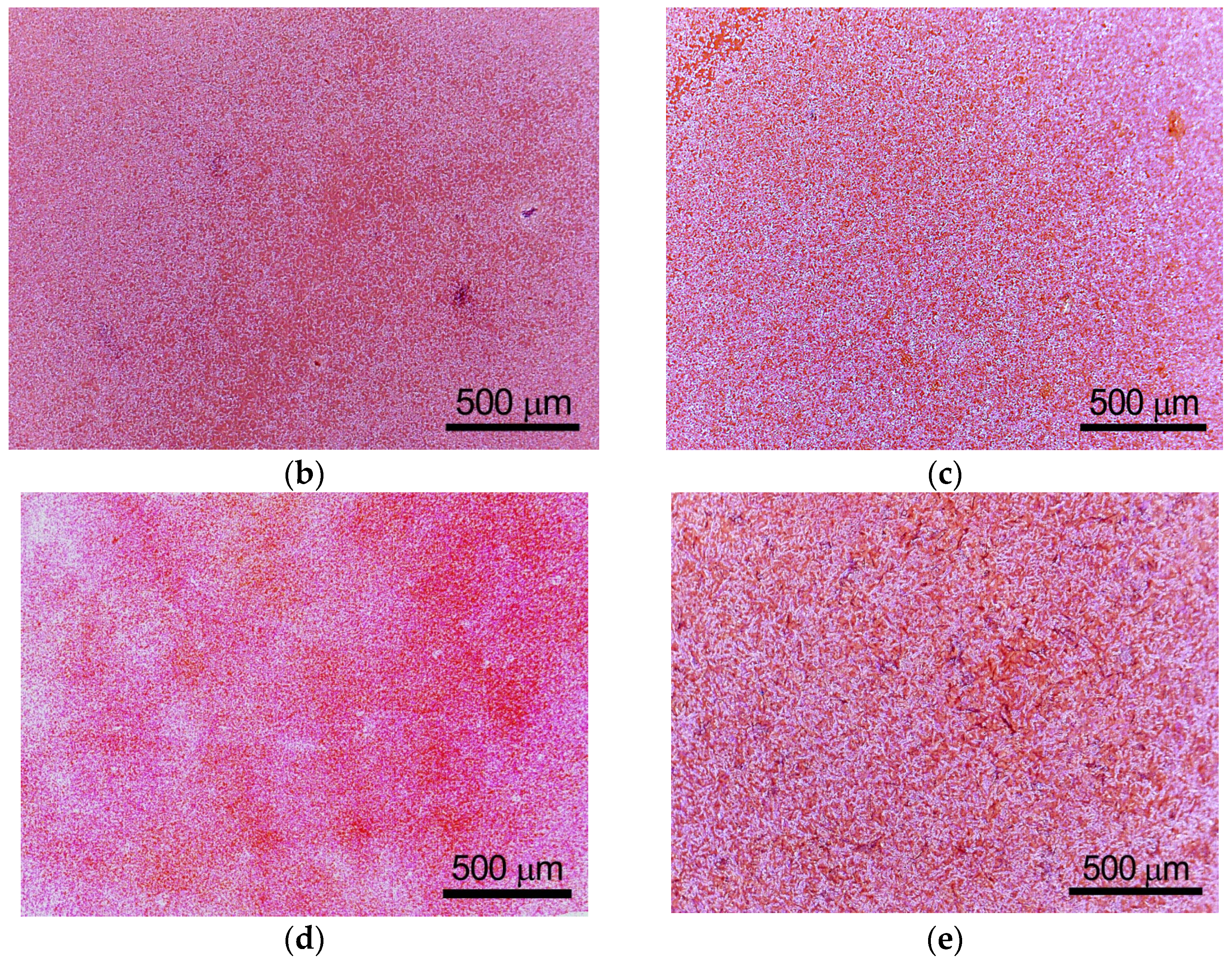 Polymers 15 01027 g002b Polymers 15 01027 g002b