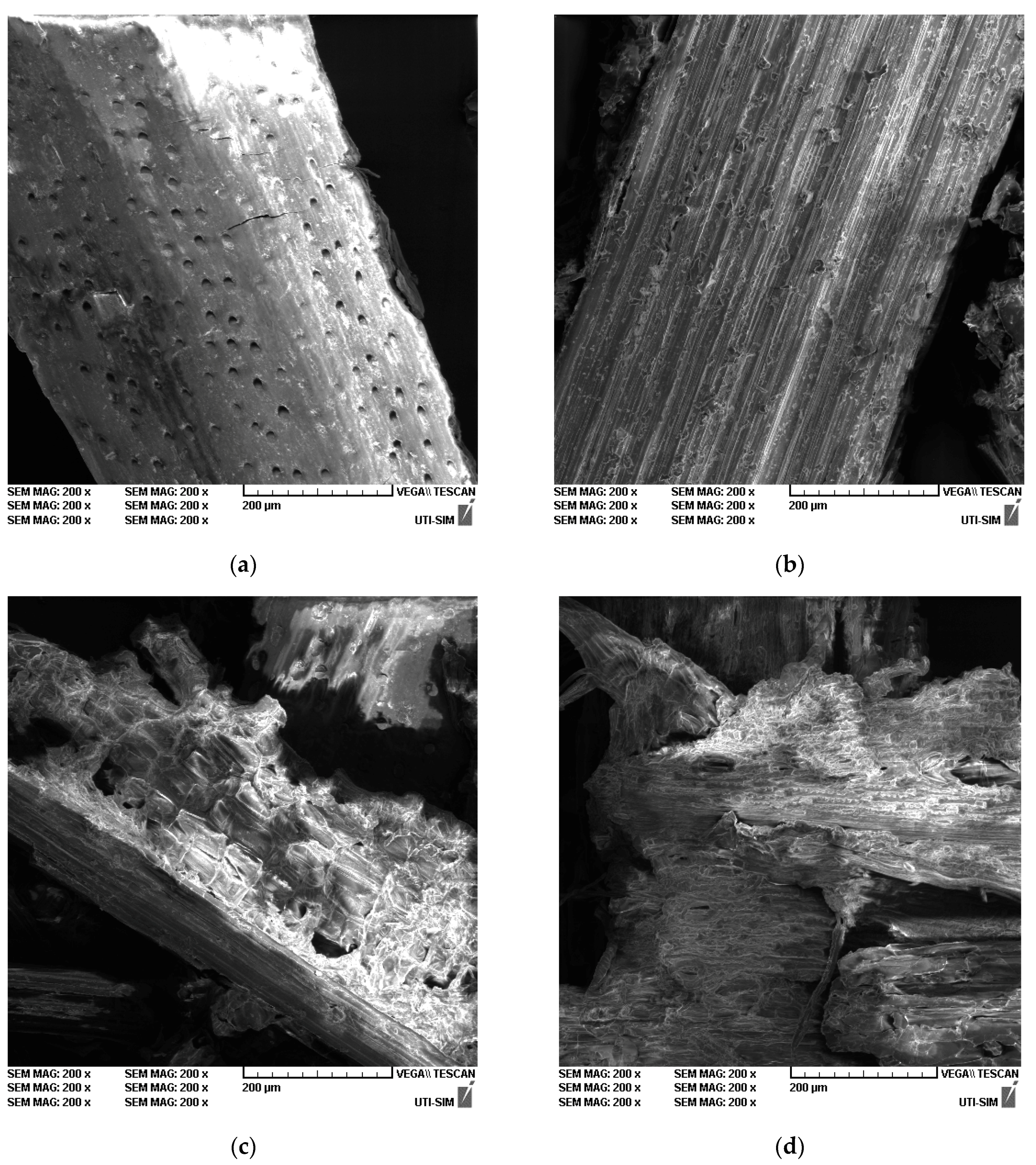 Polymers 15 01038 g009 Polymers 15 01038 g009