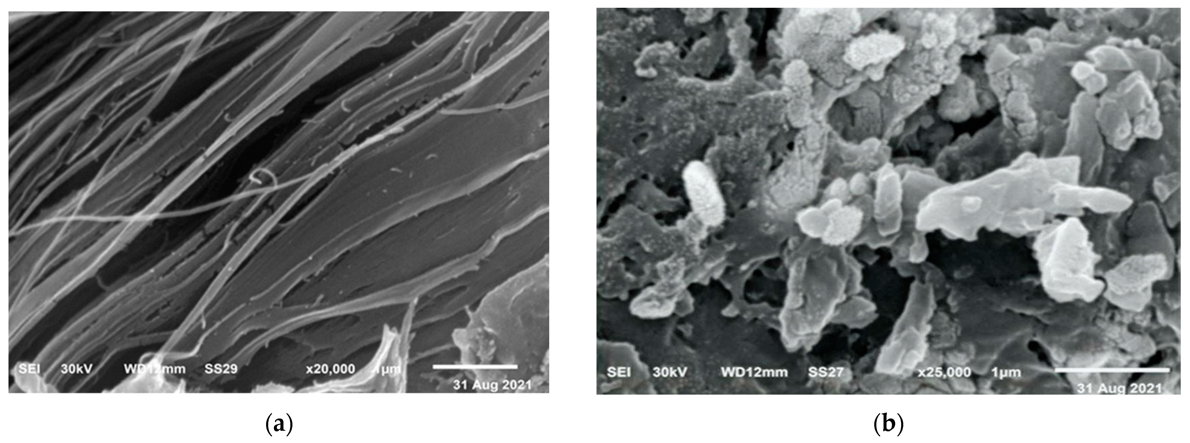 Polymers 15 01047 g002 Polymers 15 01047 g002