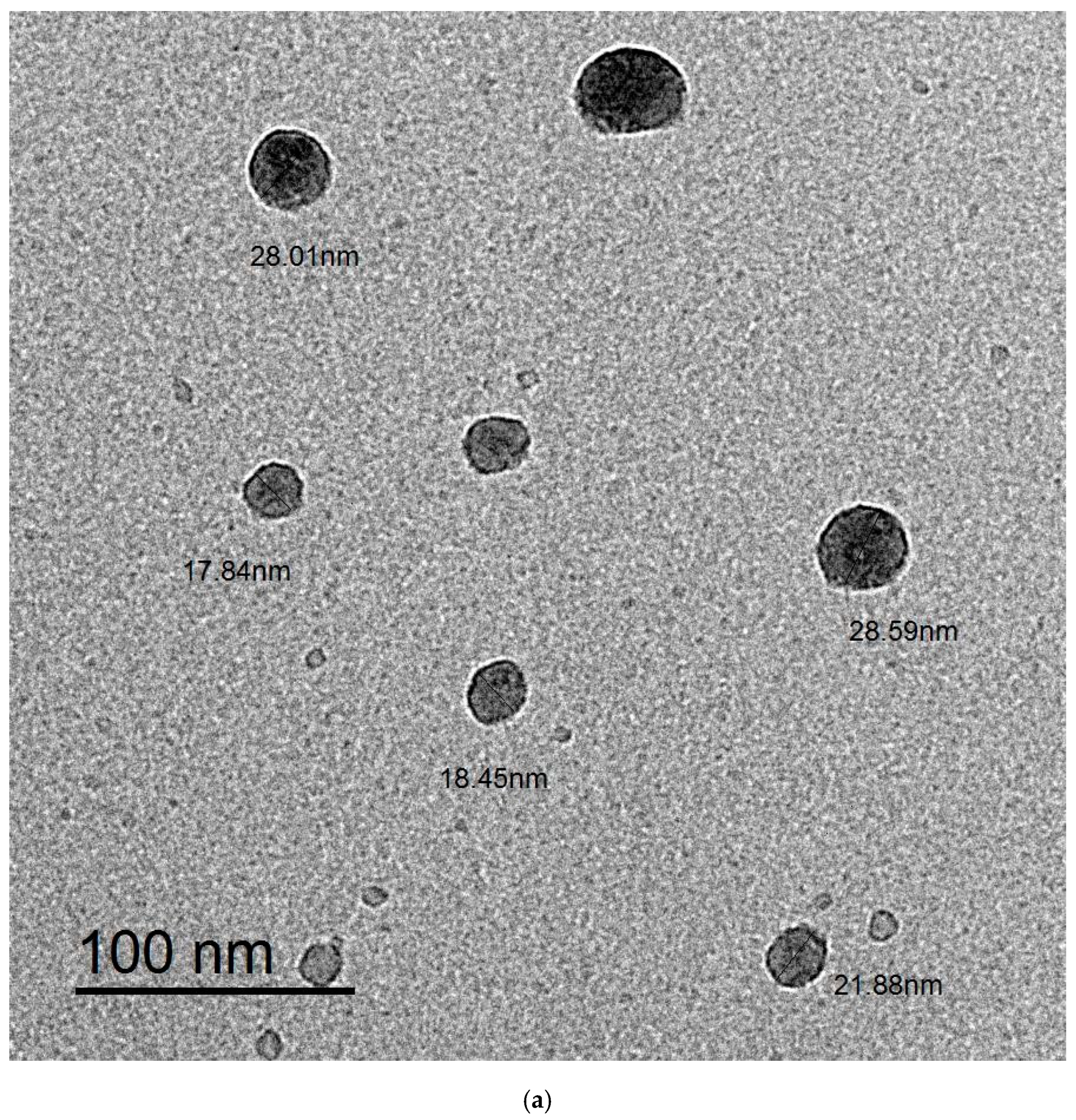 Polymers 15 01047 g003a Polymers 15 01047 g003a