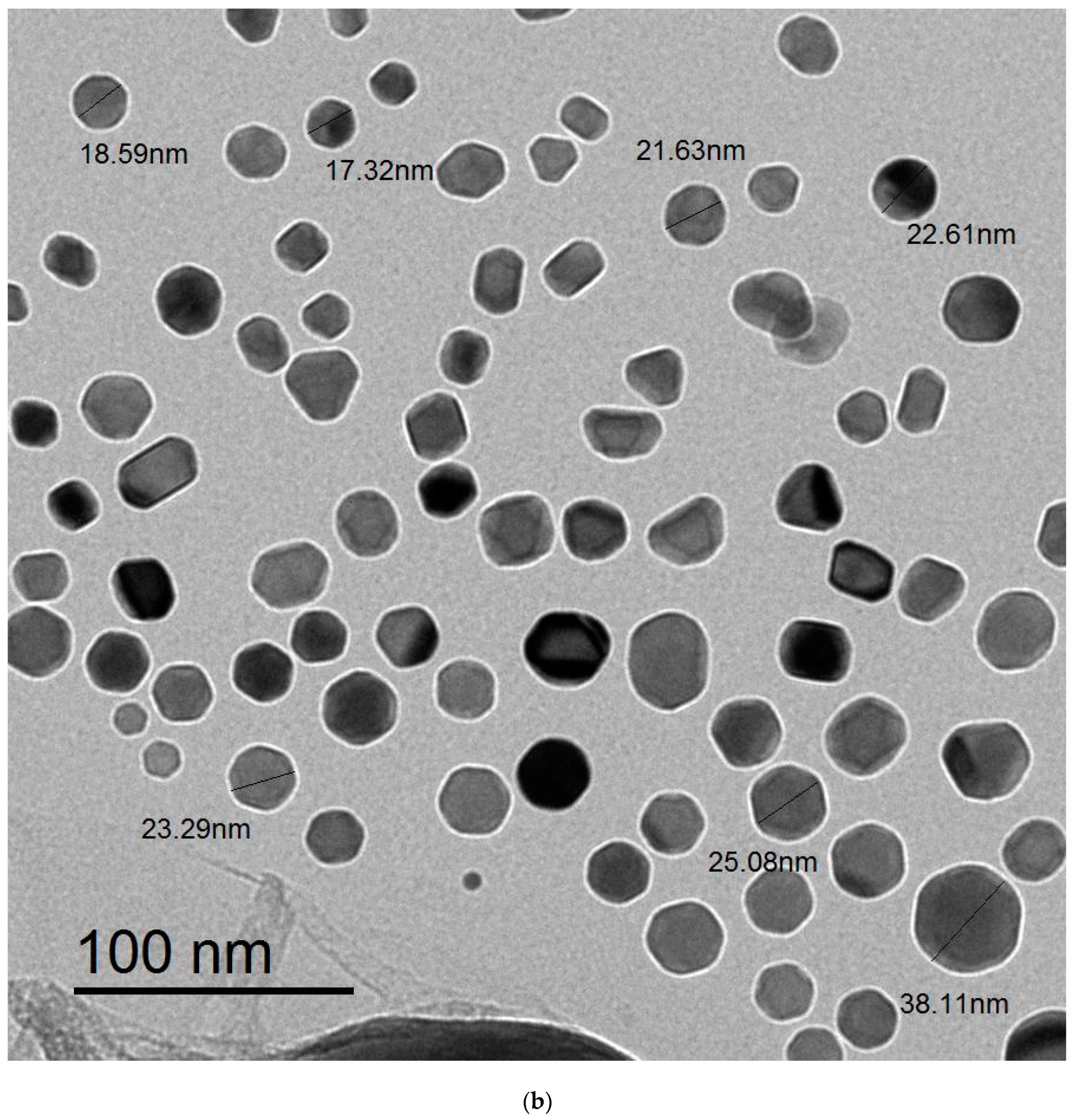 Polymers 15 01047 g003b Polymers 15 01047 g003b