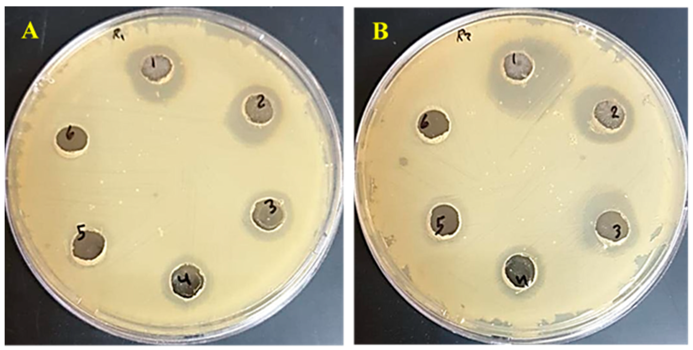 Polymers 15 01047 g010 Polymers 15 01047 g010