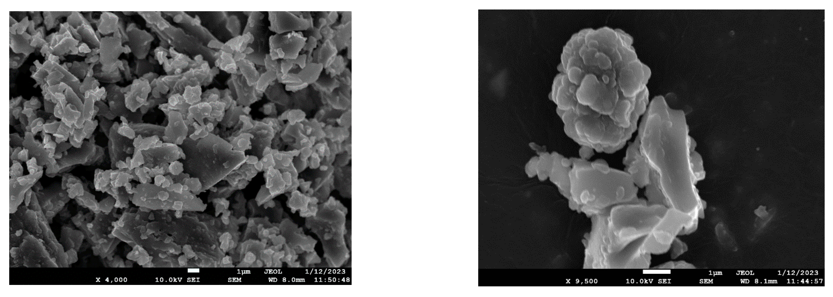 Polymers 15 01049 g001 Polymers 15 01049 g001