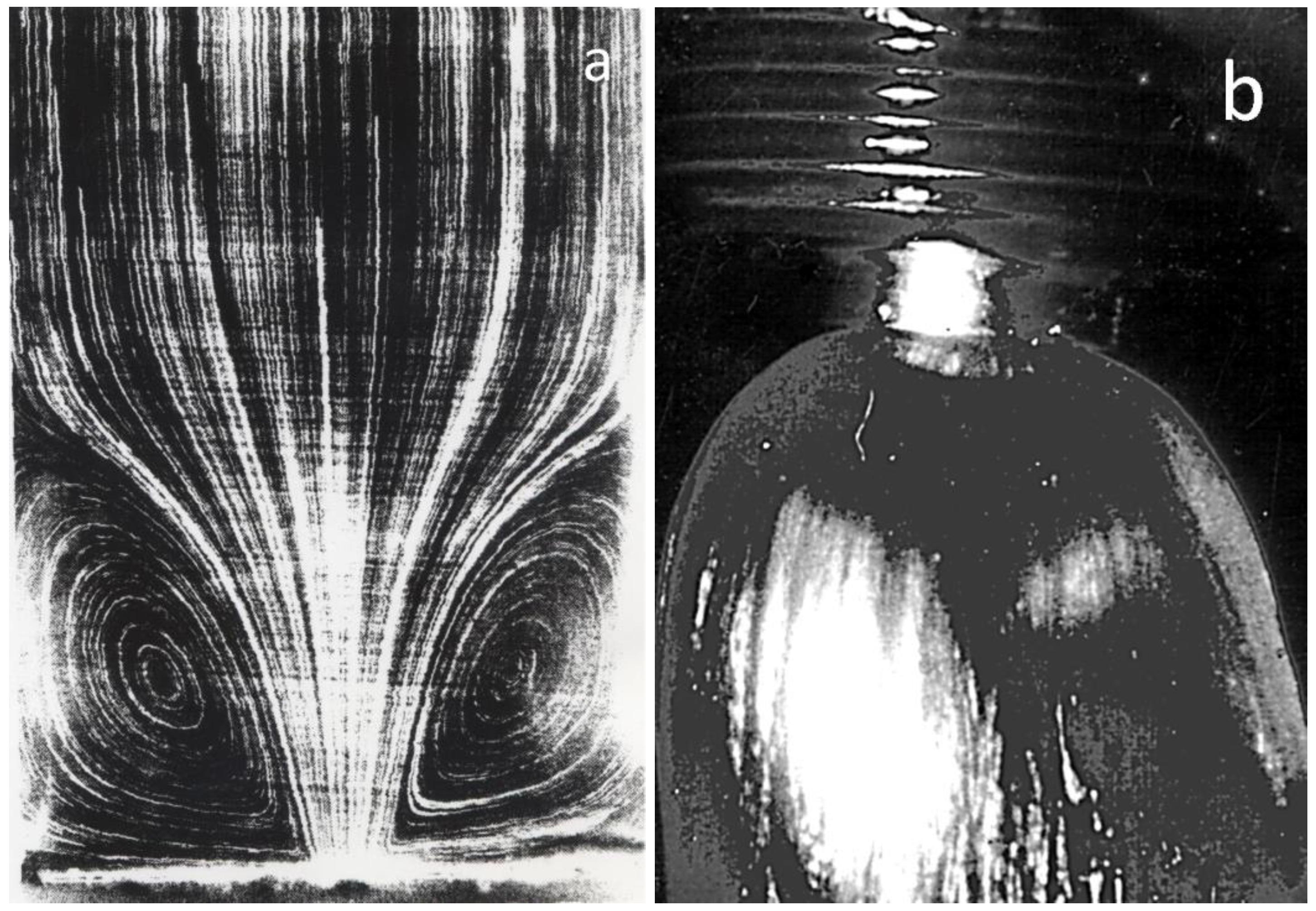 Polymers 15 01051 g004
