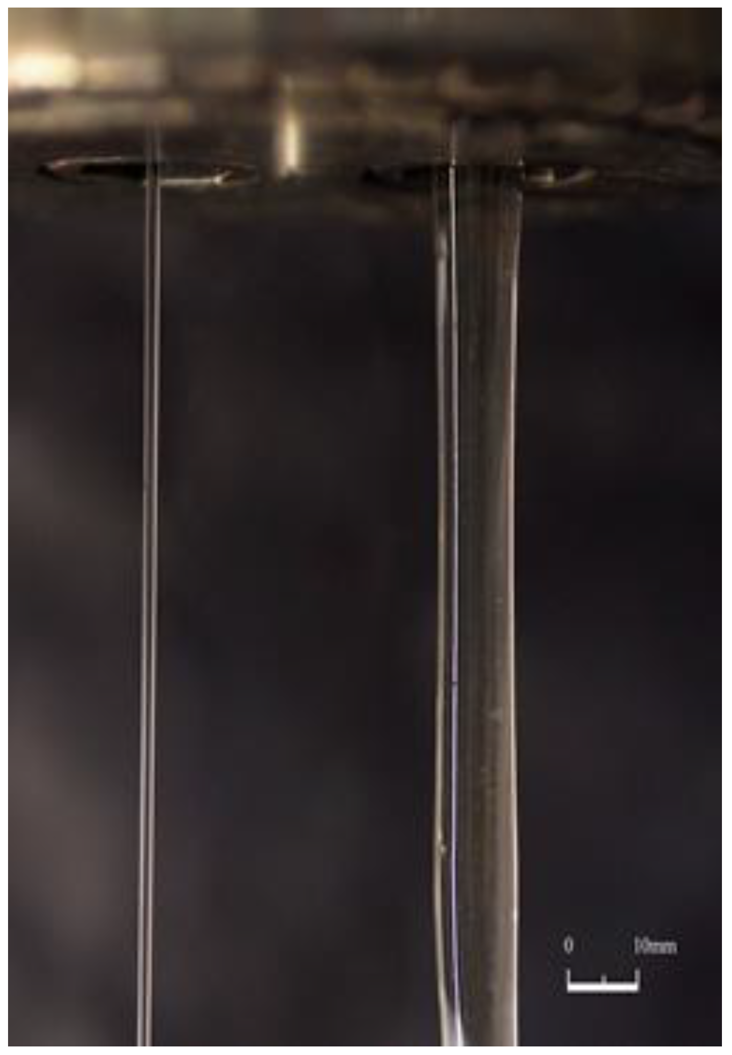 Polymers 15 01051 g007