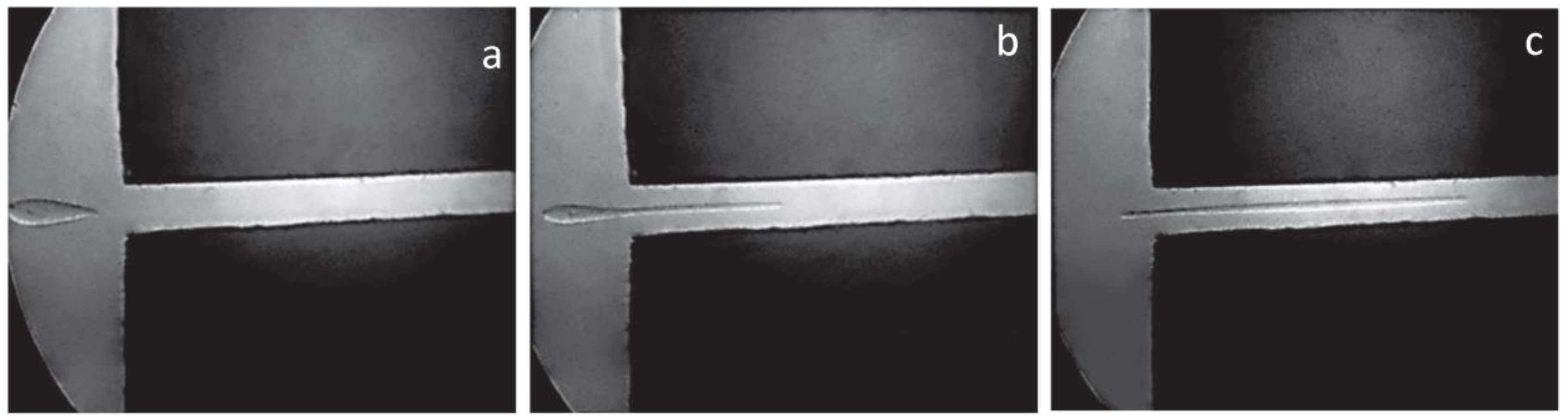 Polymers 15 01051 g008