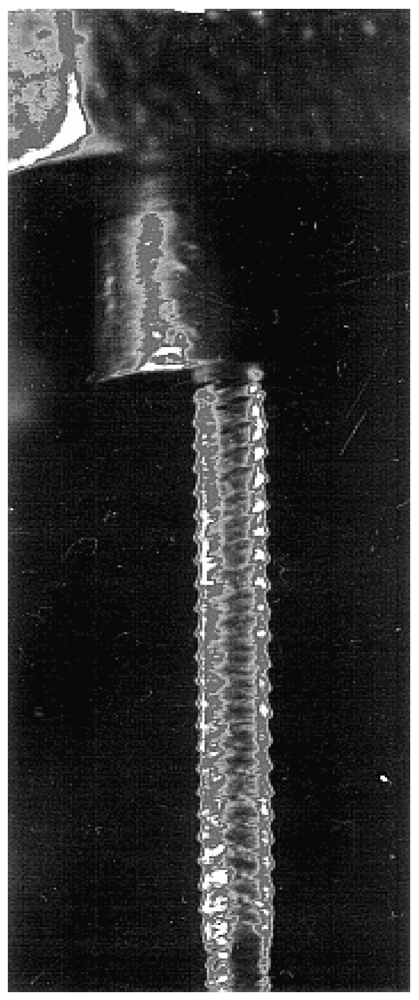 Polymers 15 01051 g009