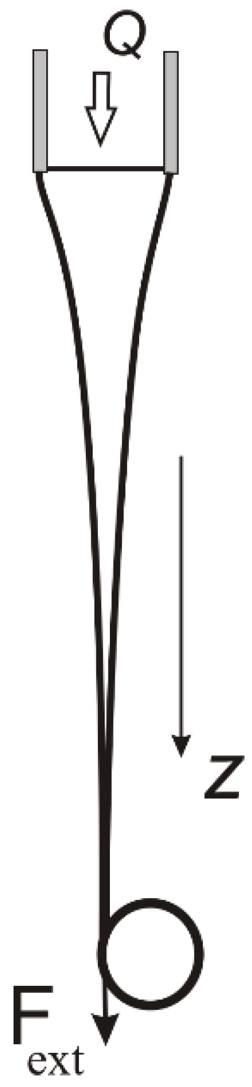 Polymers 15 01051 g013