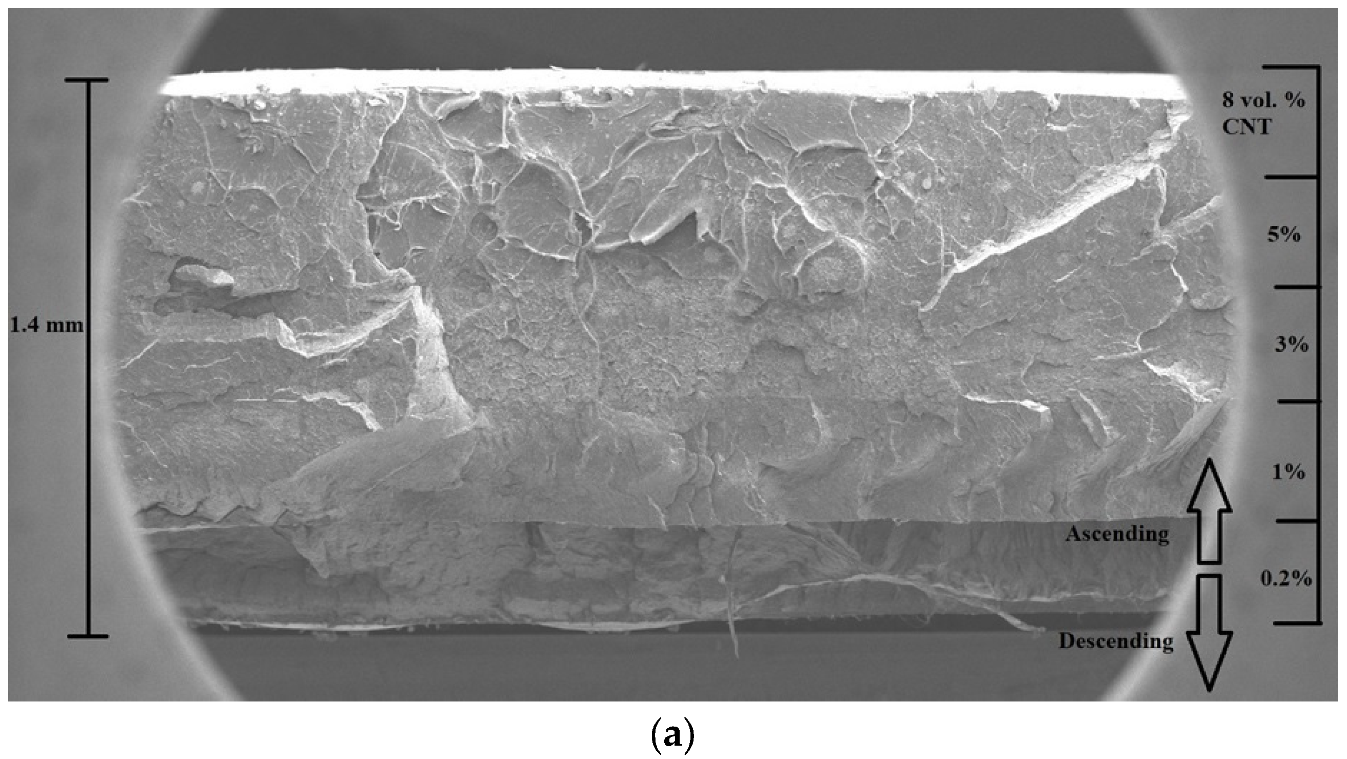 Polymers 15 01053 g004a