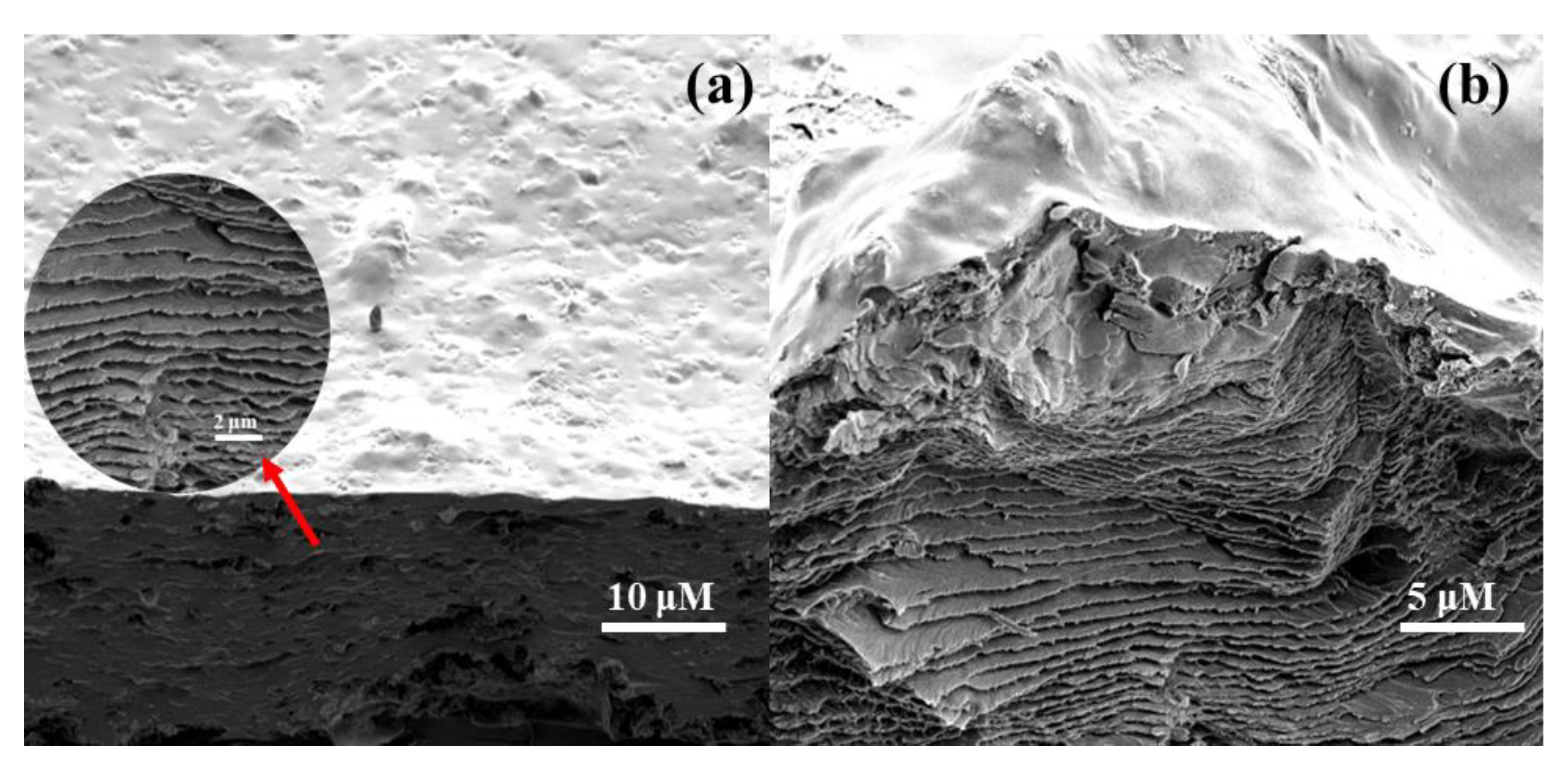 Polymers 15 01062 g011 Polymers 15 01062 g011
