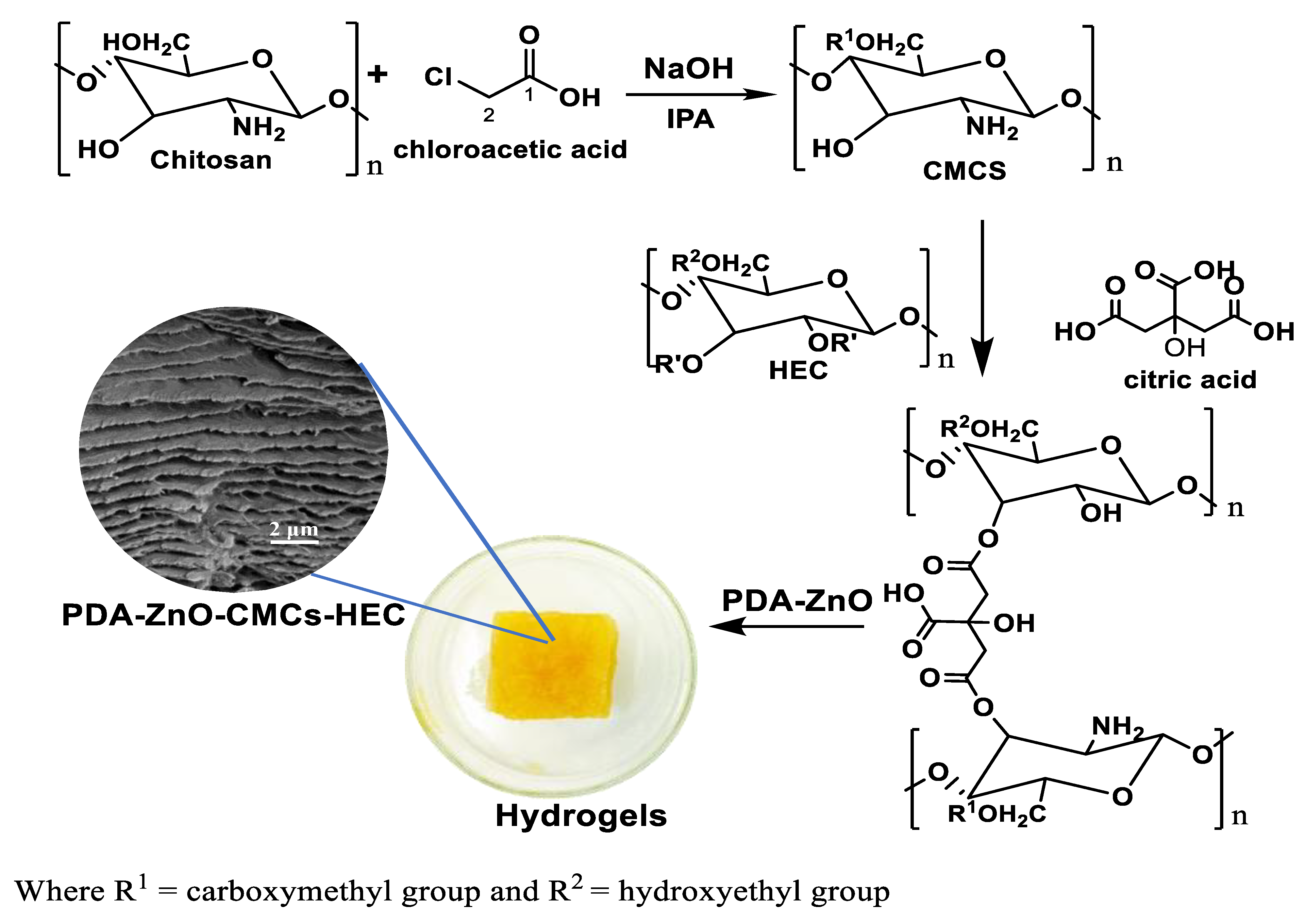 Polymers 15 01062 sch001 Polymers 15 01062 sch001