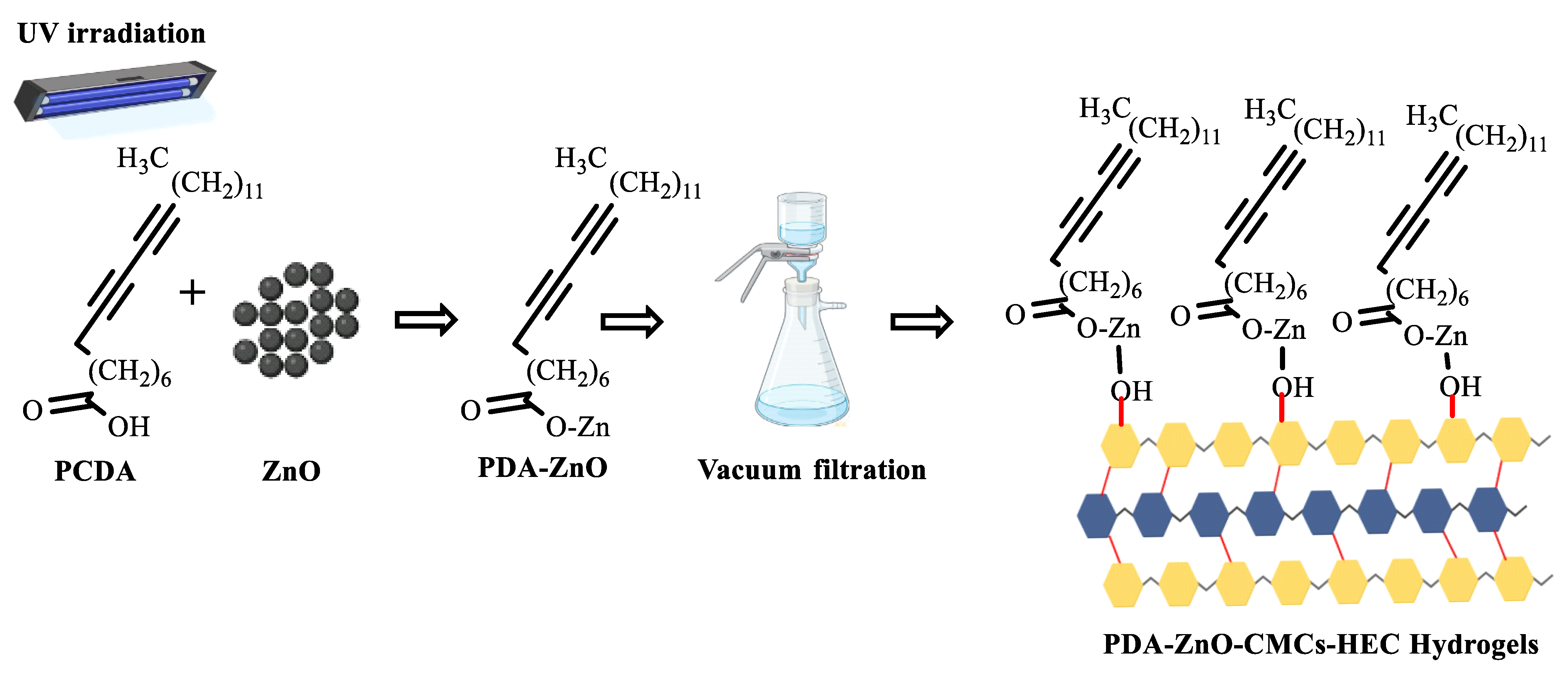 Polymers 15 01062 sch002 Polymers 15 01062 sch002