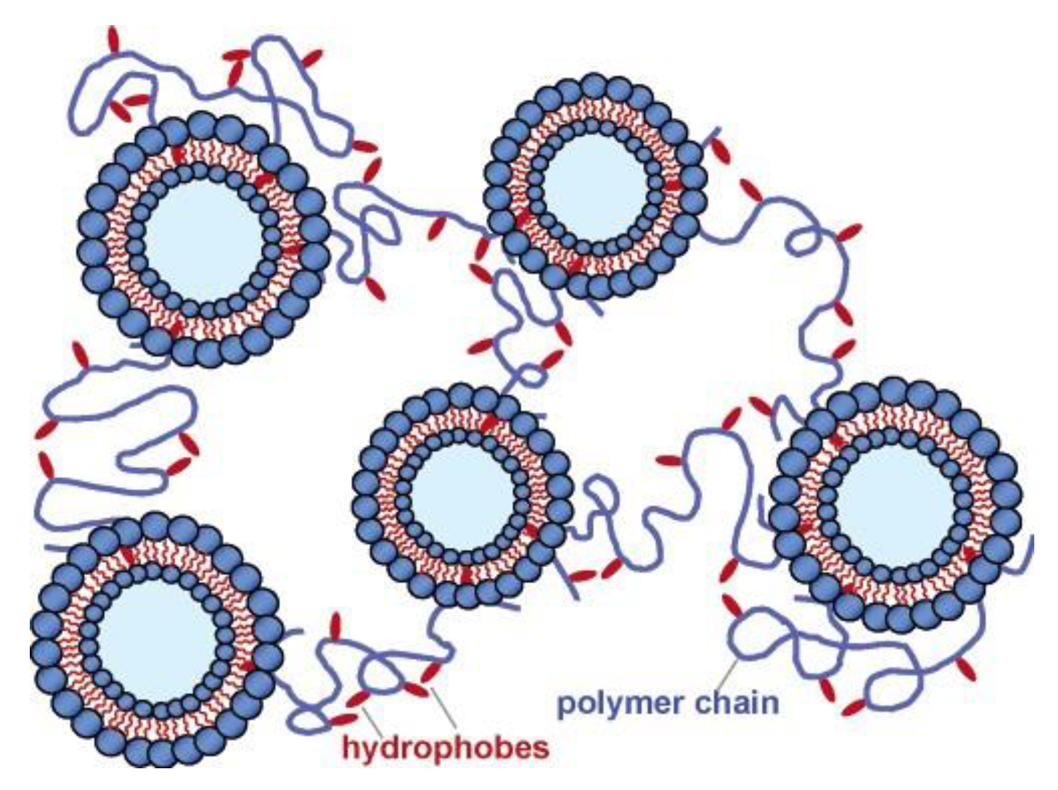 Polymers 15 01065 g003 Polymers 15 01065 g003