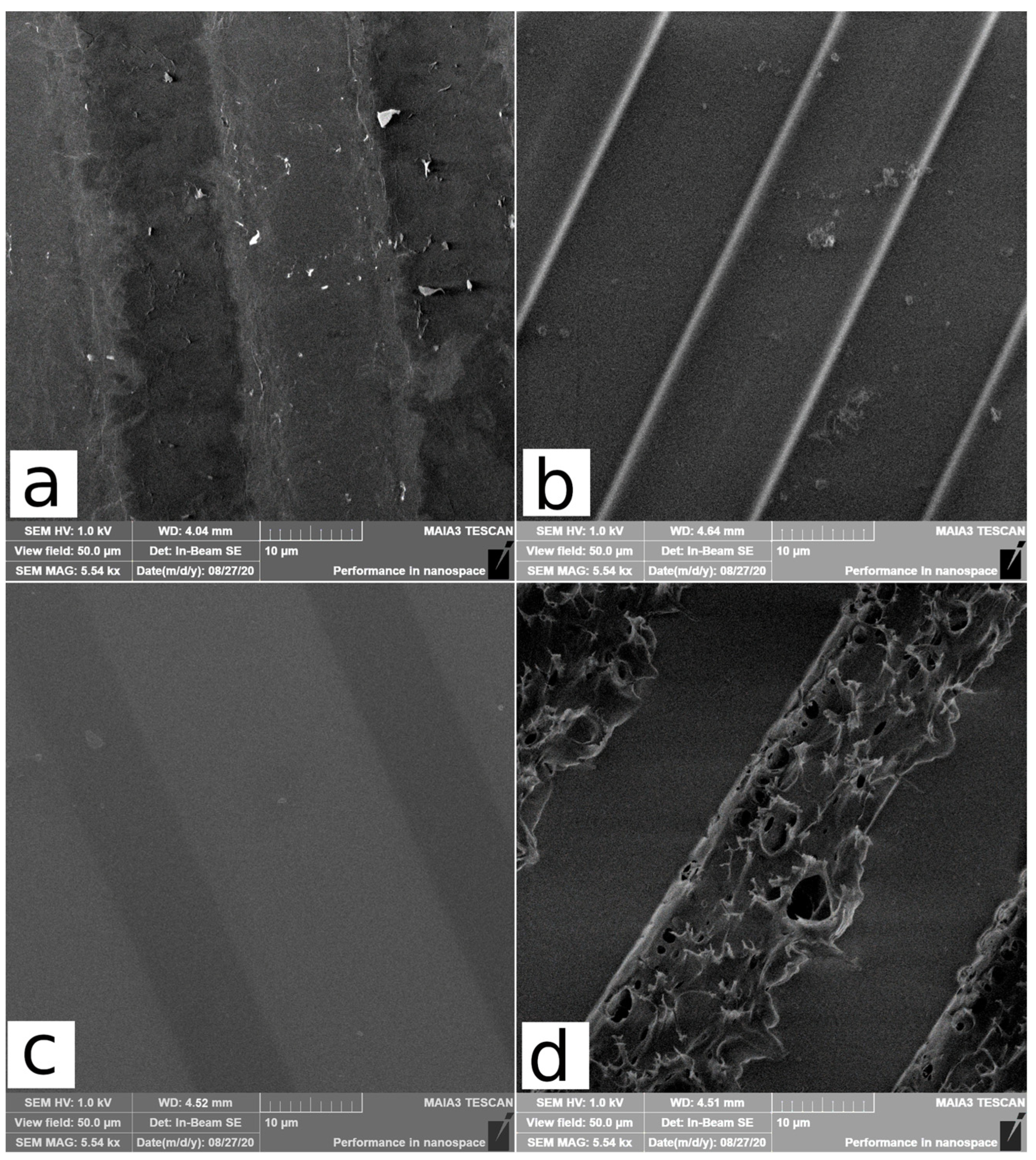 Polymers 15 01066 g004