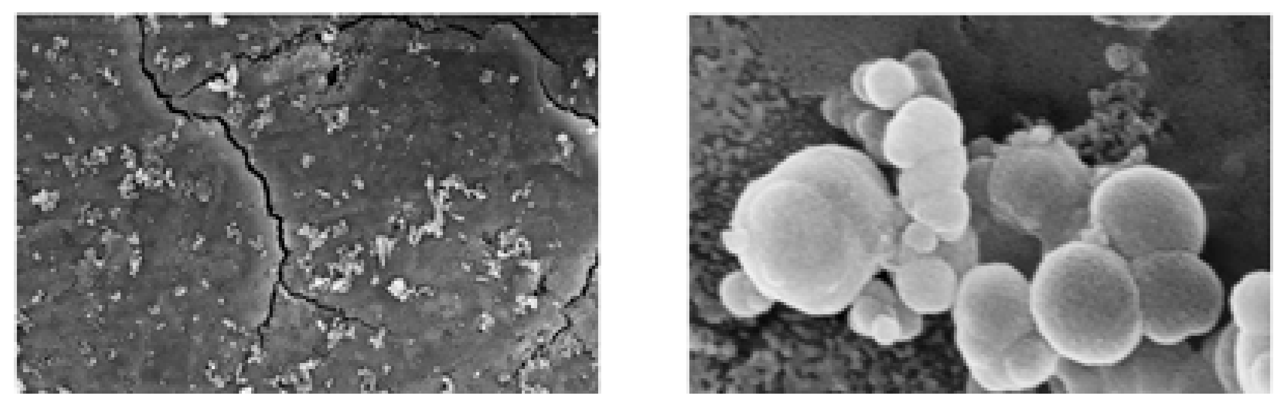 Polymers 15 01087 g009 Polymers 15 01087 g009