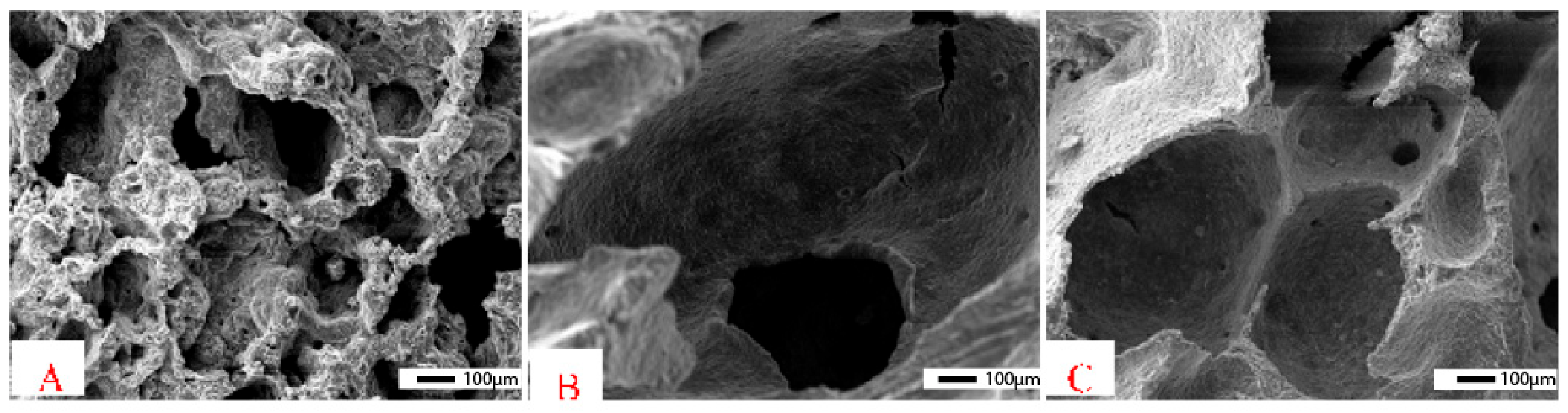 Polymers 15 01087 g013 Polymers 15 01087 g013