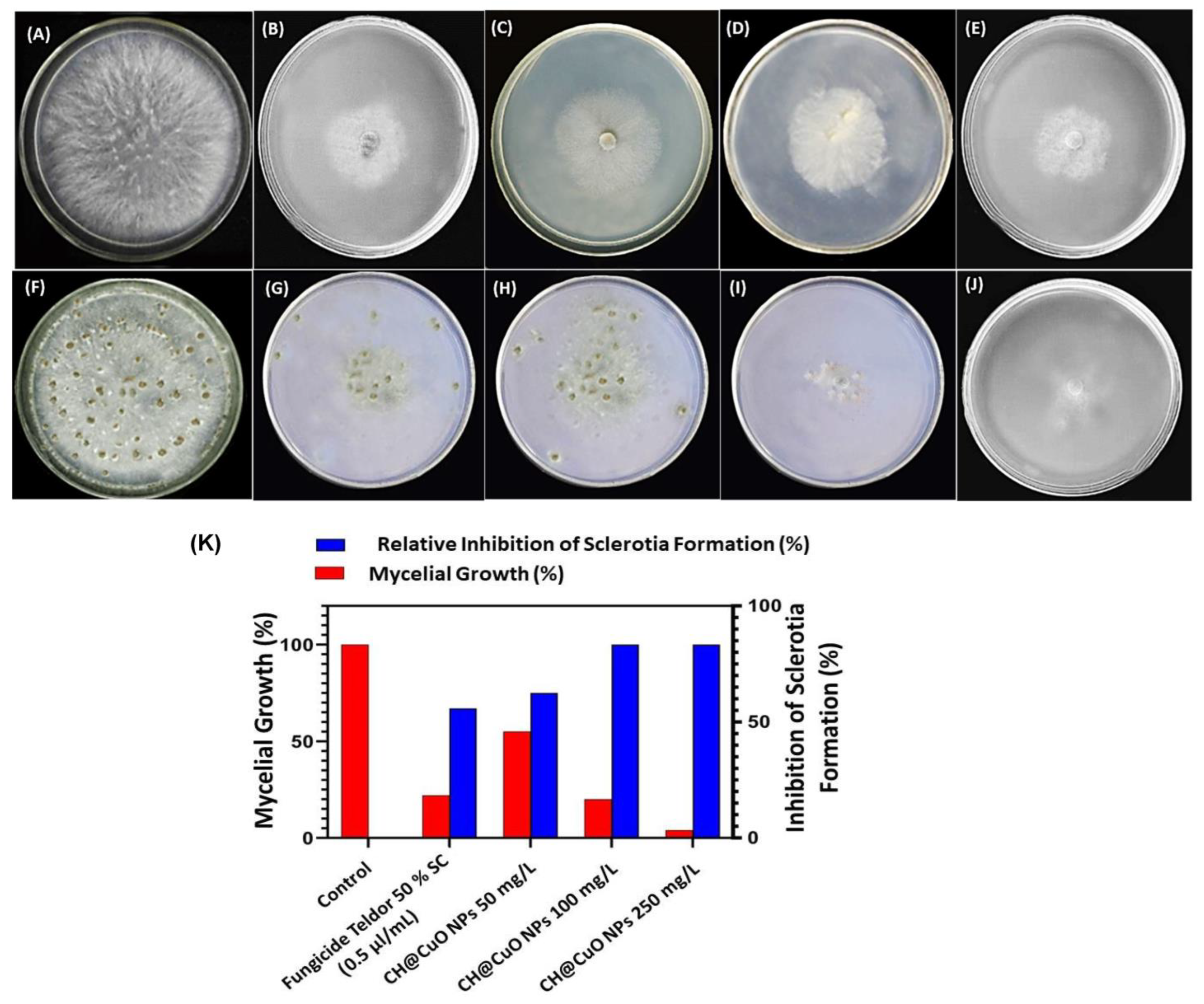Polymers 15 01099 g002 Polymers 15 01099 g002