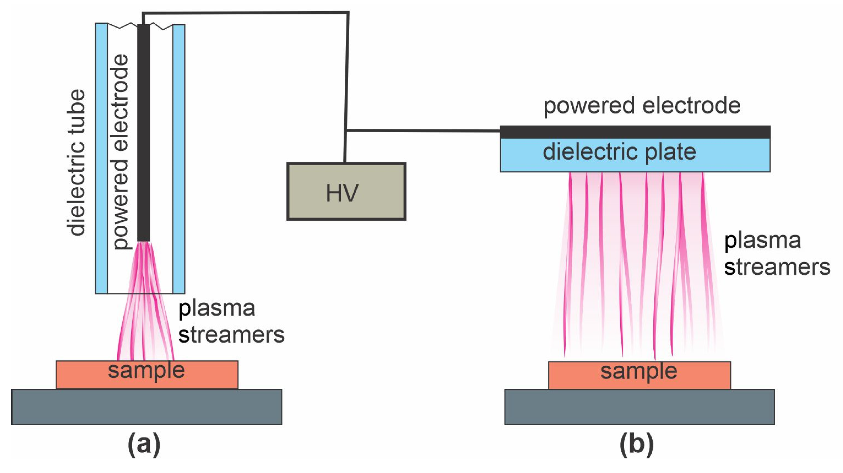 Polymers | Free Full-Text | Deposition of Chitosan on Plasma-Treated ...