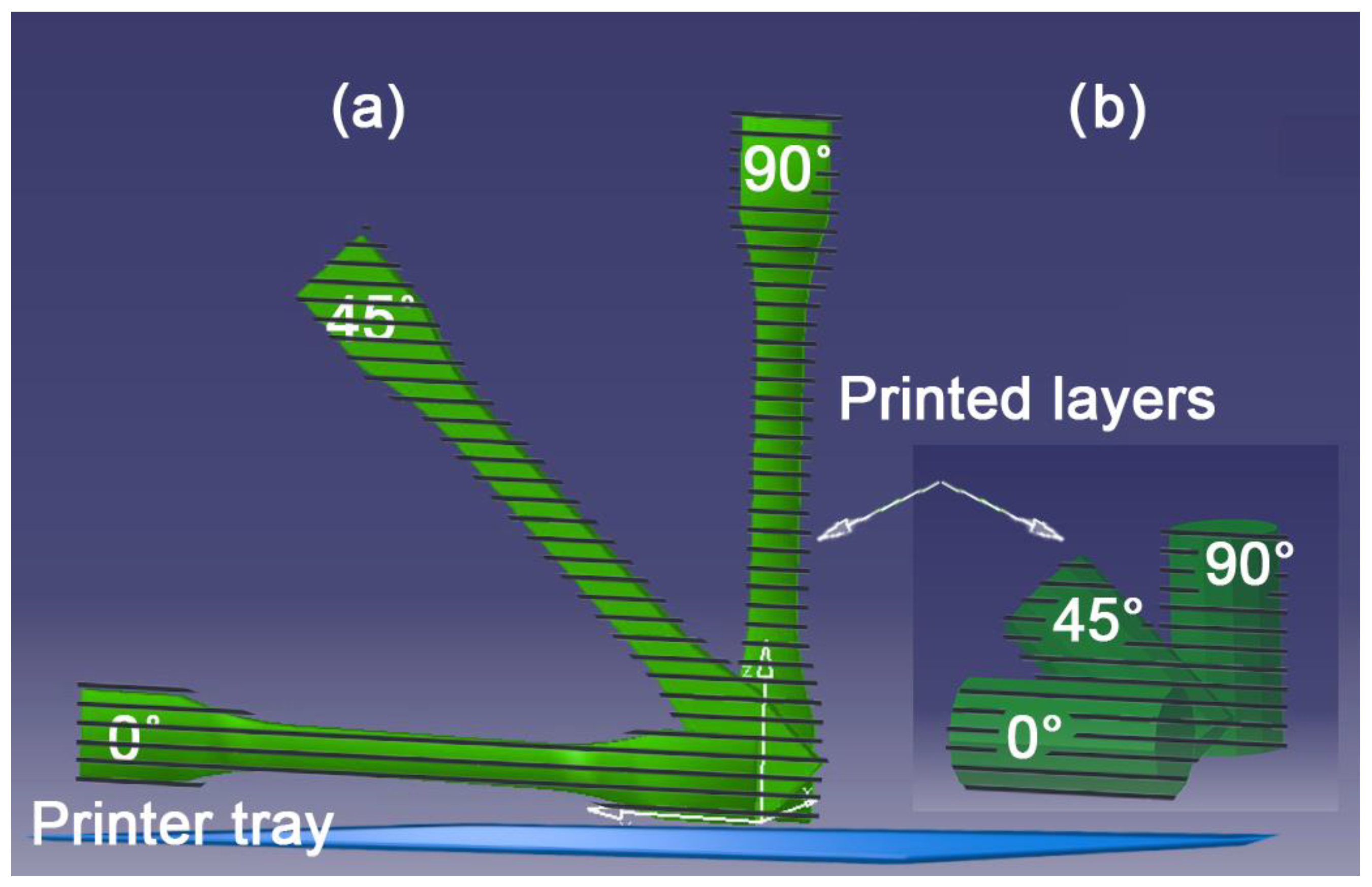 Polymers | Free Full-Text | The Influence of Printing Layer Thickness and  Orientation on the Mechanical Properties of DLP 3D-Printed Dental Resin