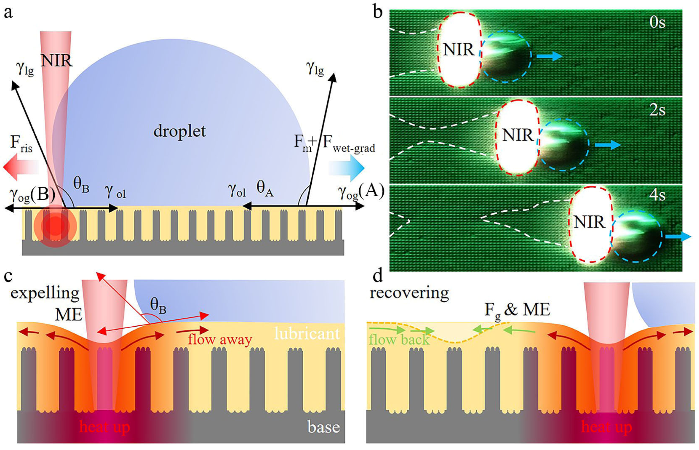 Polymers 15 01132 g005 Polymers 15 01132 g005