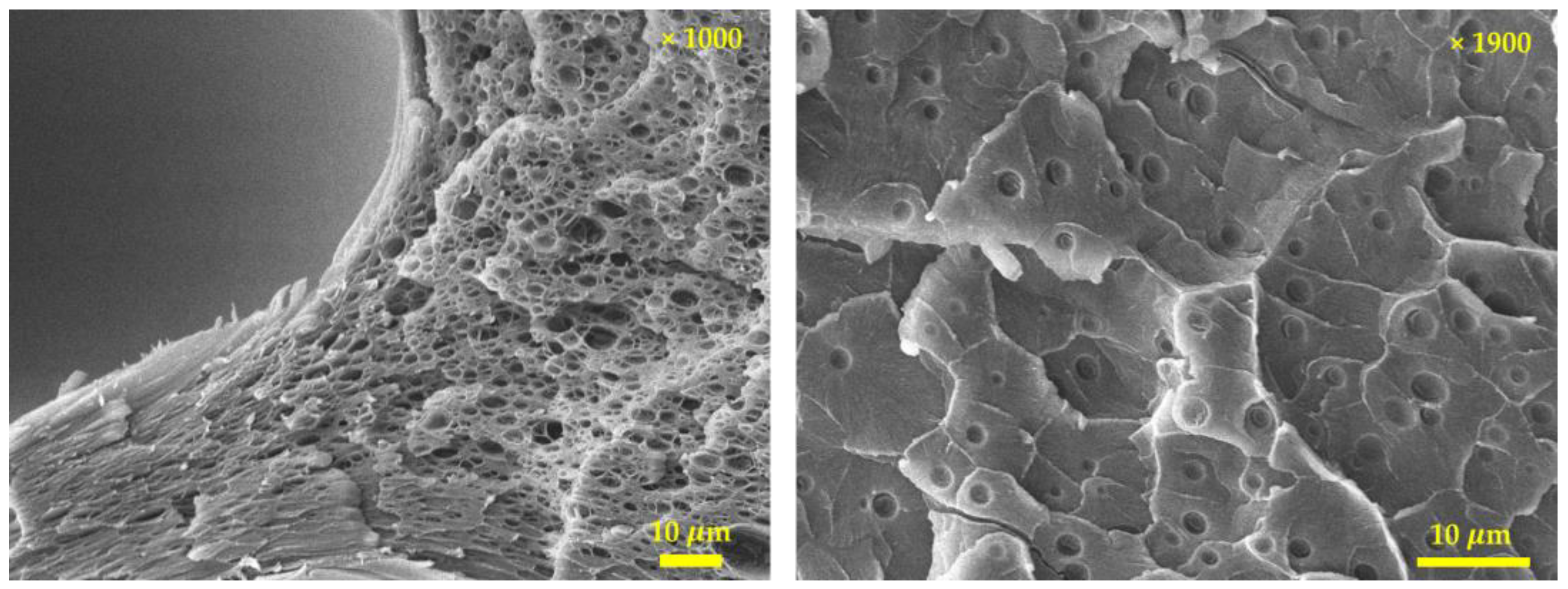 Polymers 15 01153 g009 Polymers 15 01153 g009
