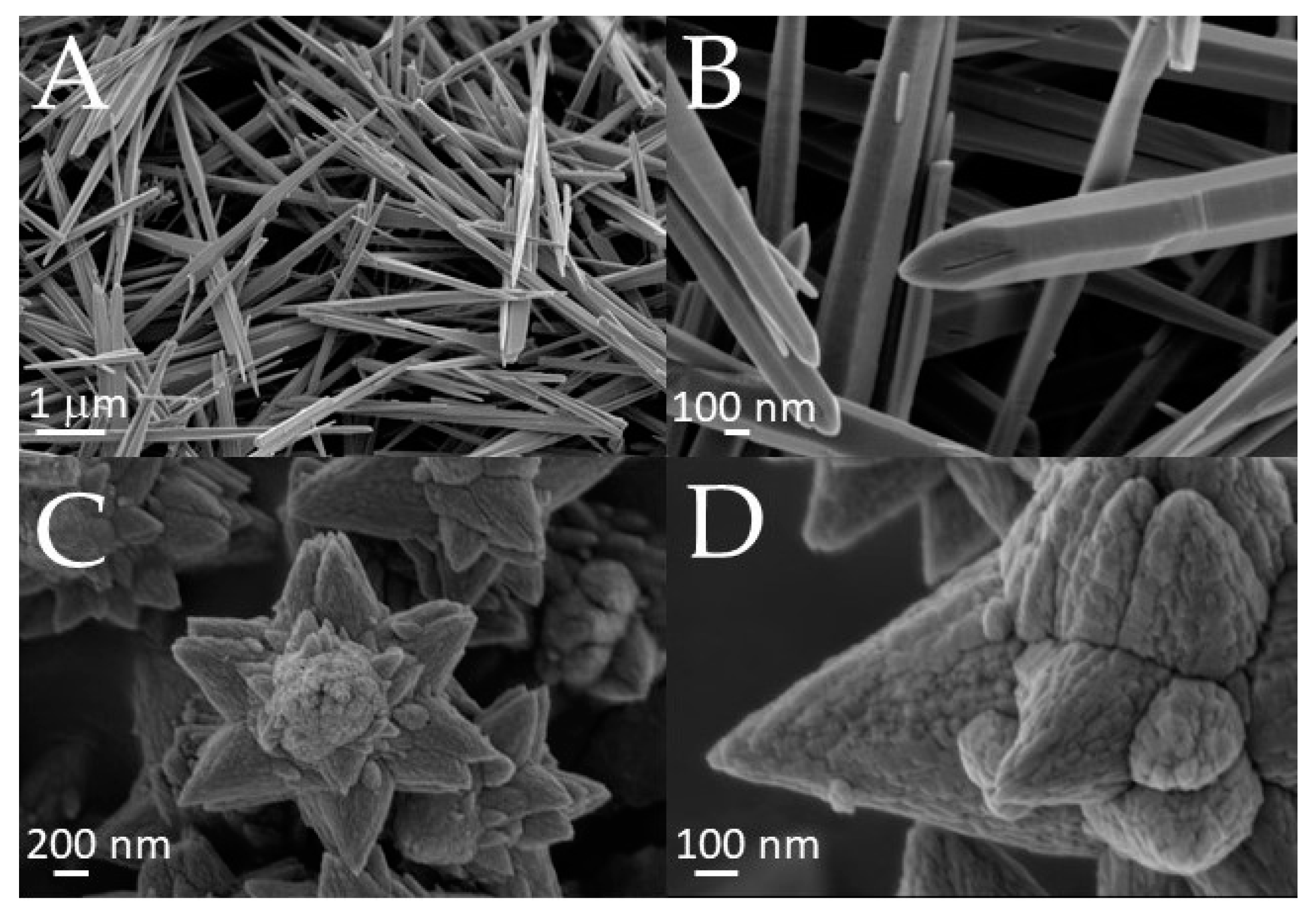 Polymers 15 01159 g005 Polymers 15 01159 g005