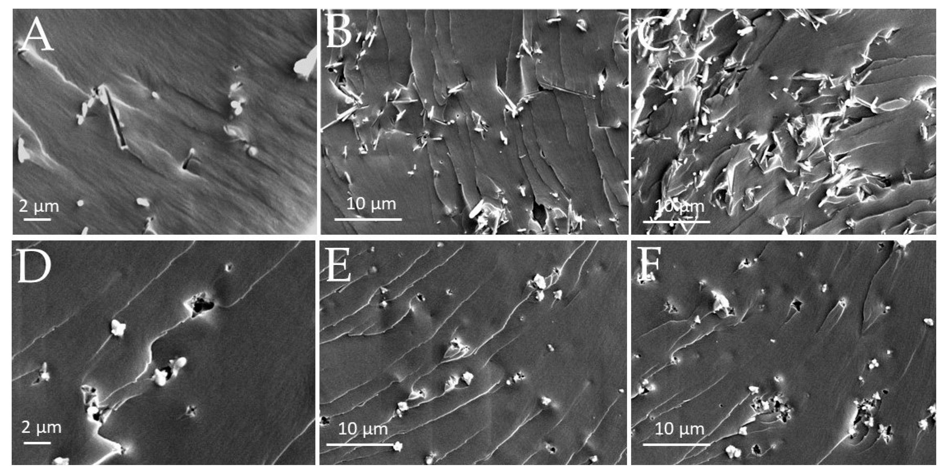 Polymers 15 01159 g009 Polymers 15 01159 g009