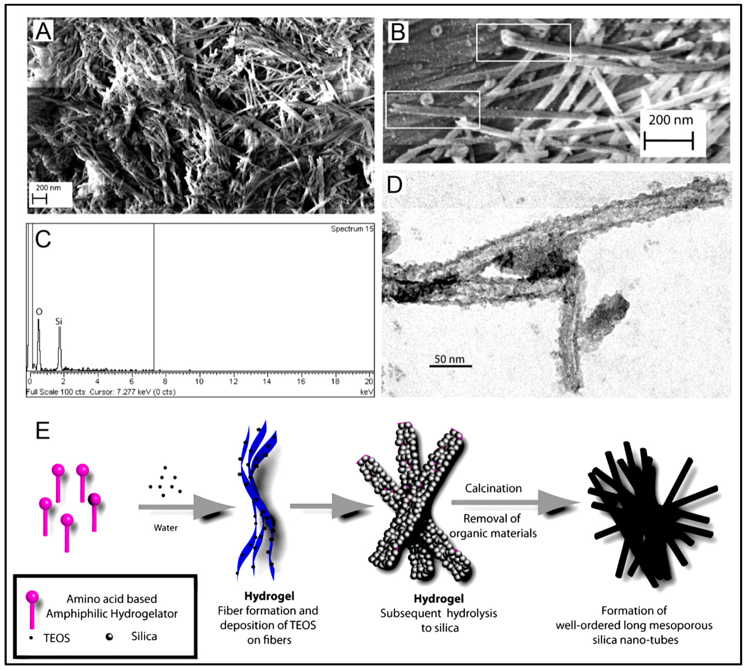 Polymers 15 01160 g002 Polymers 15 01160 g002