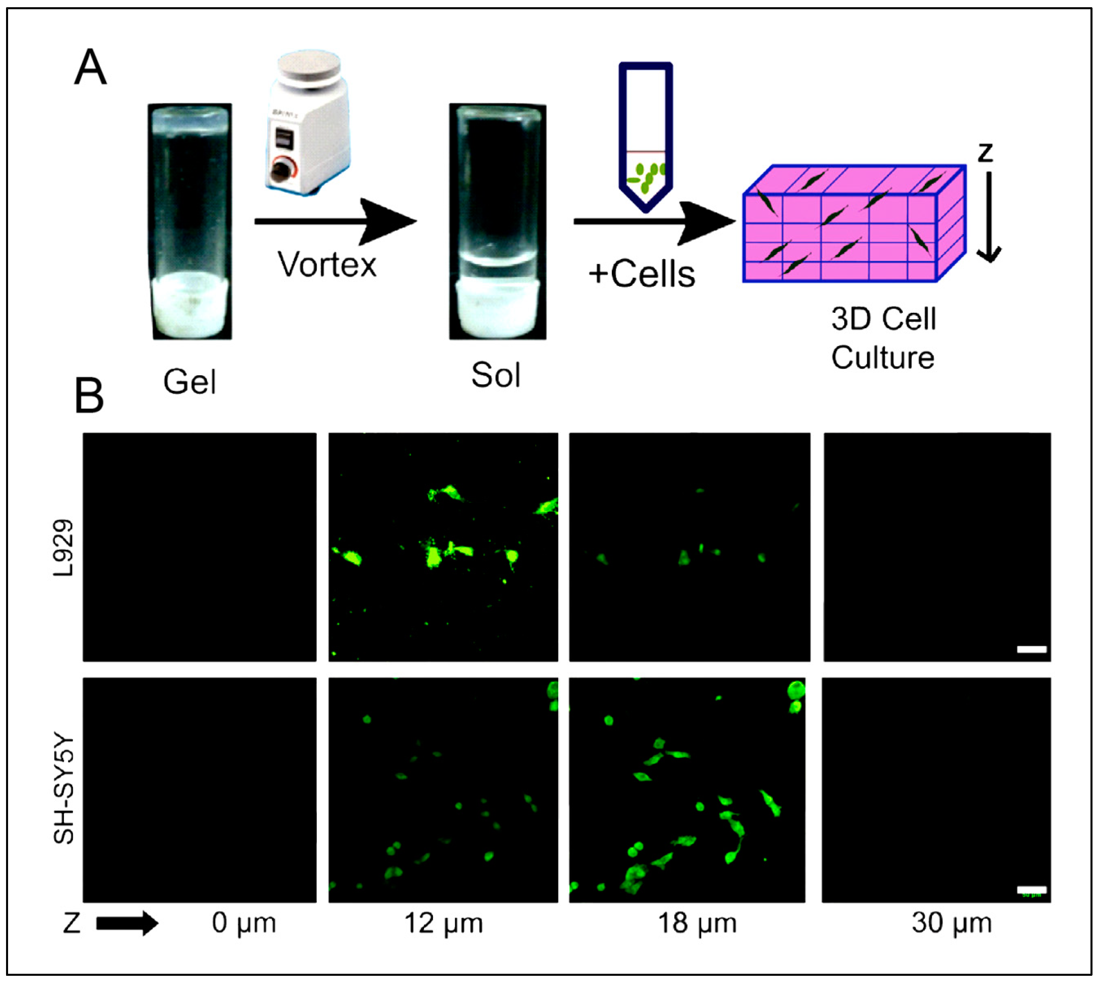 Polymers 15 01160 g004 Polymers 15 01160 g004