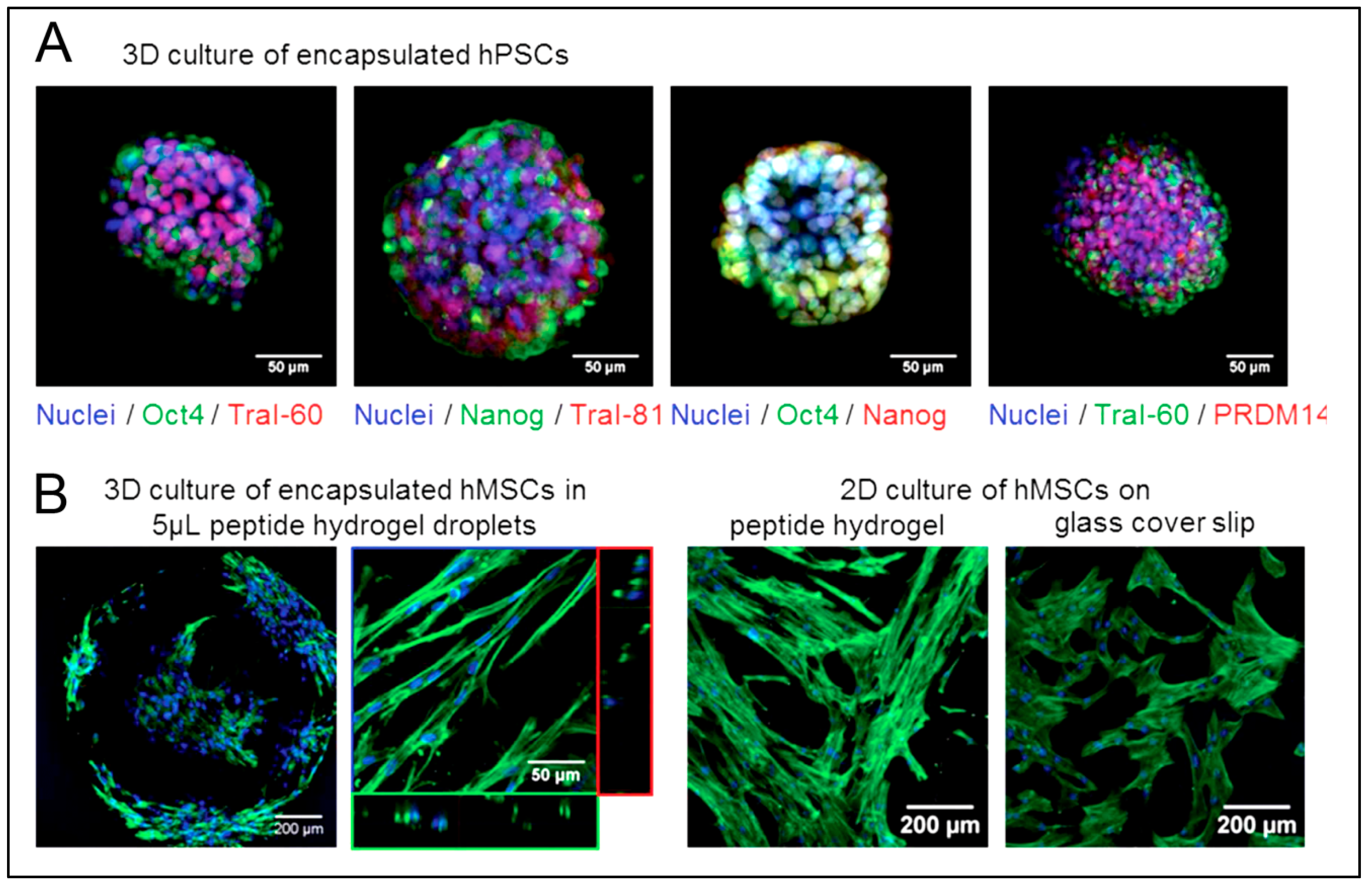Polymers 15 01160 g006 Polymers 15 01160 g006