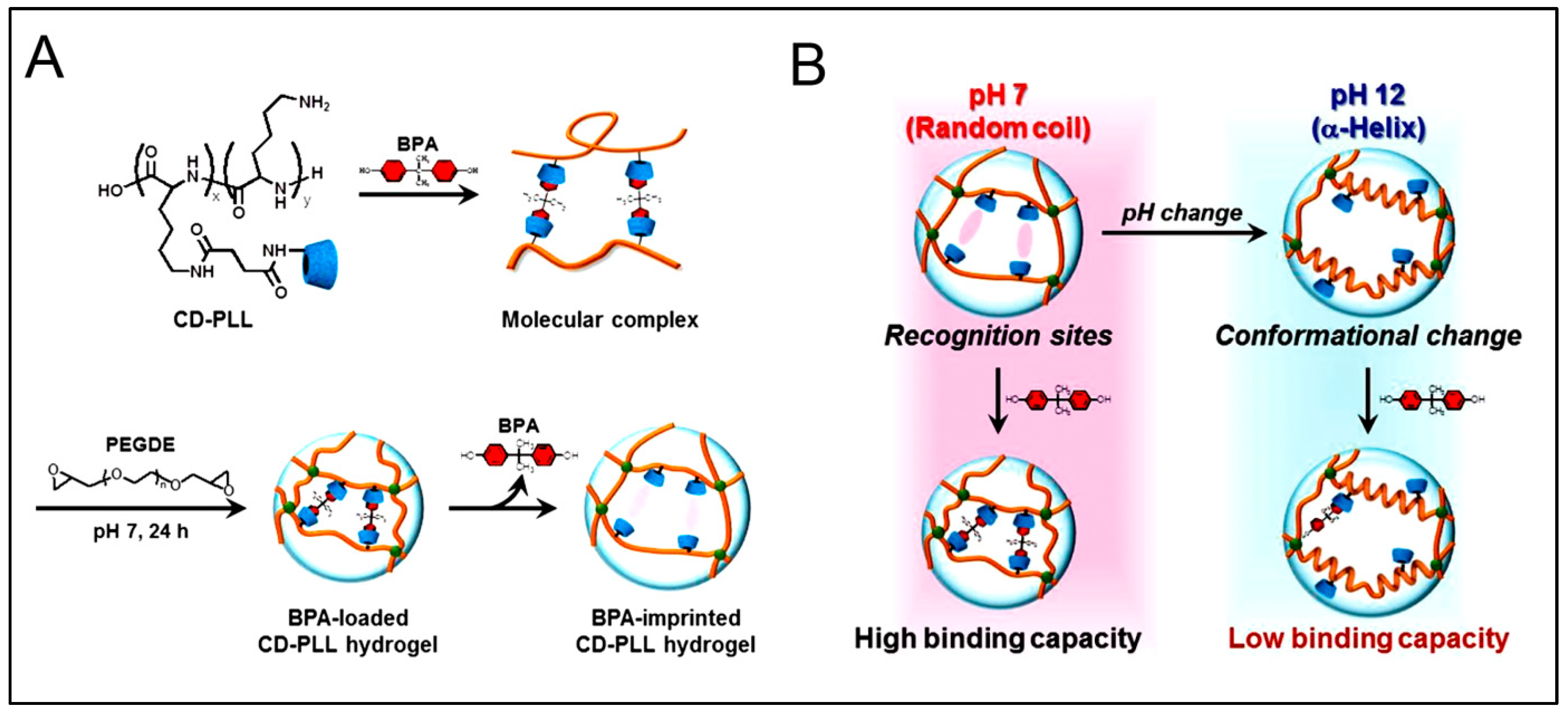Polymers 15 01160 g007 Polymers 15 01160 g007
