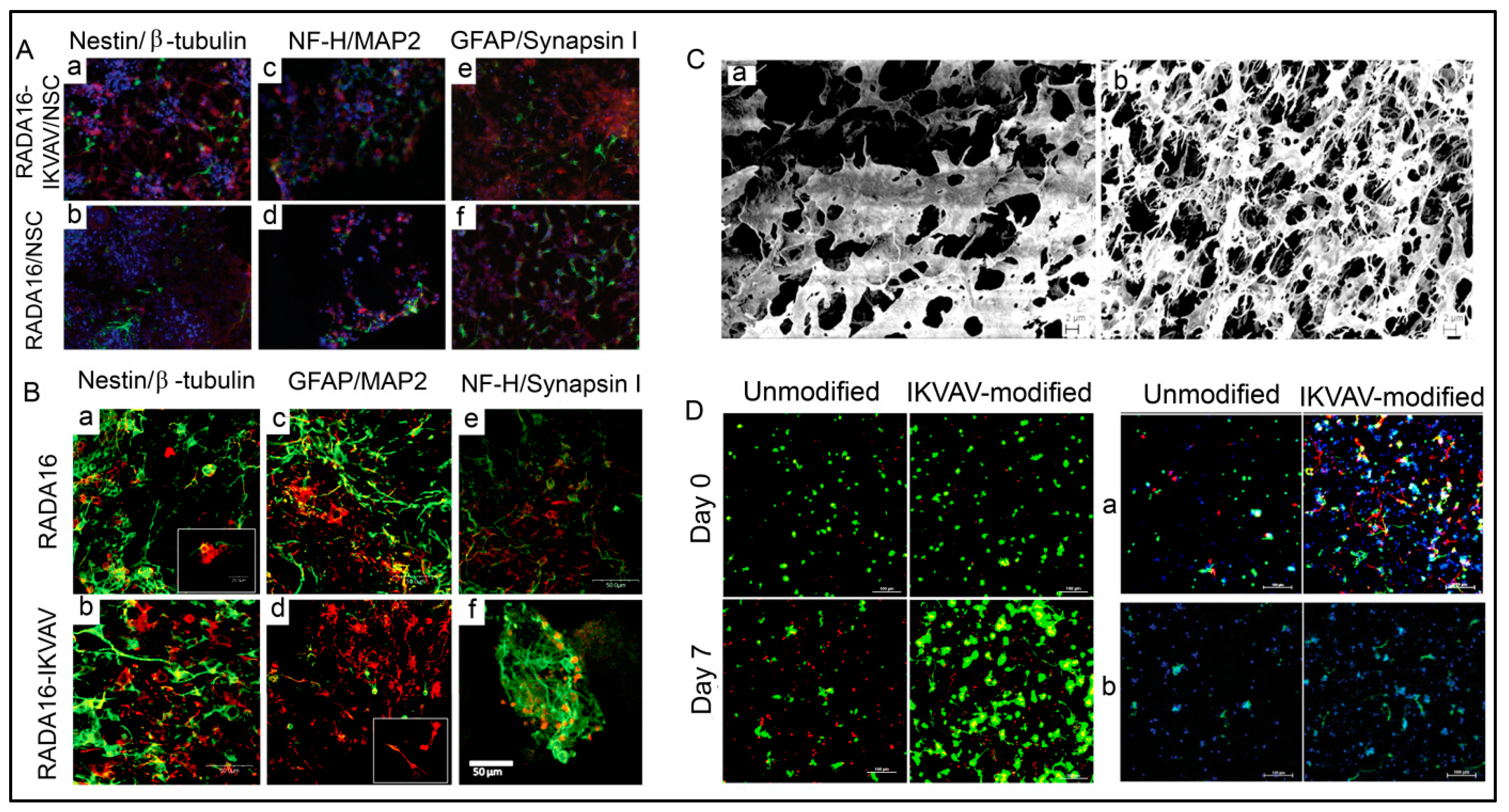 Polymers 15 01160 g010 Polymers 15 01160 g010