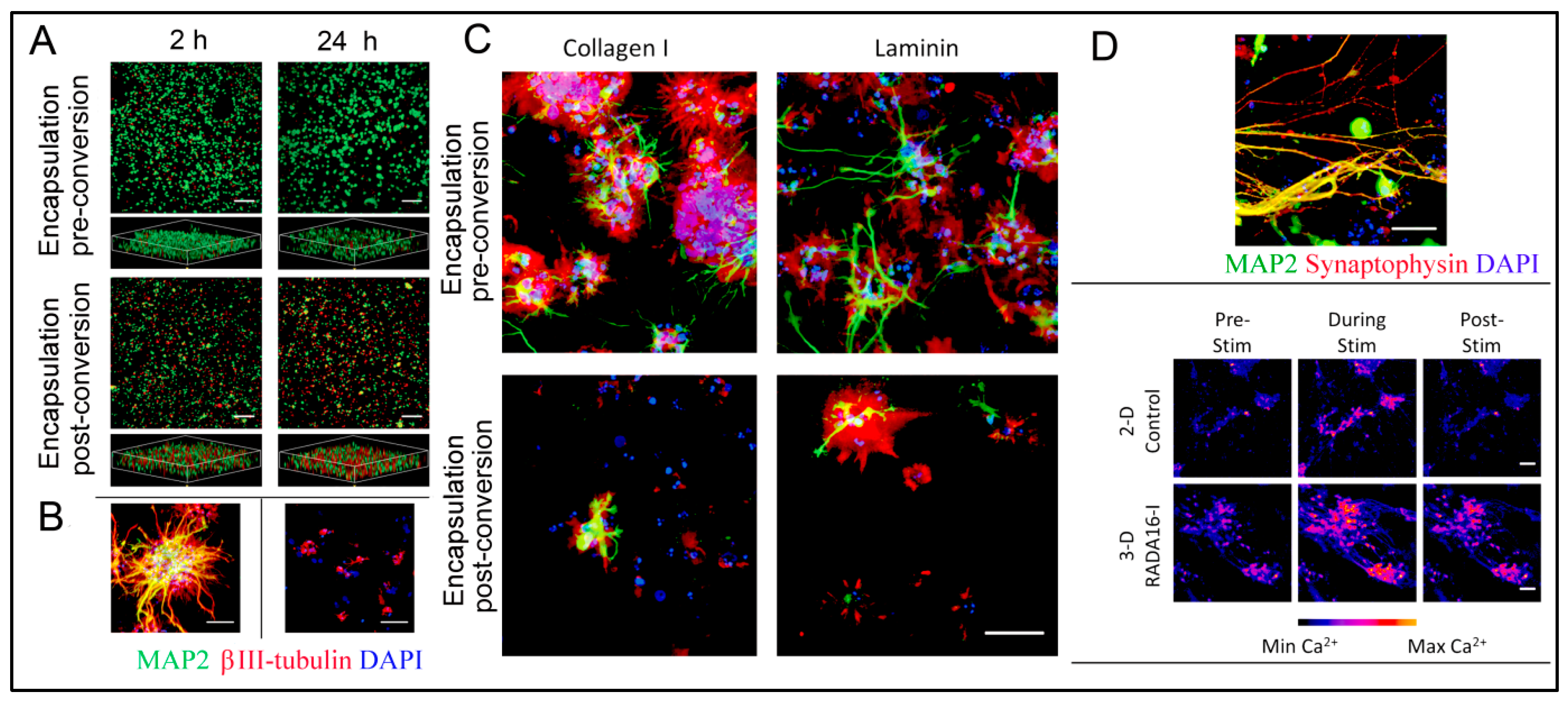 Polymers 15 01160 g014 Polymers 15 01160 g014
