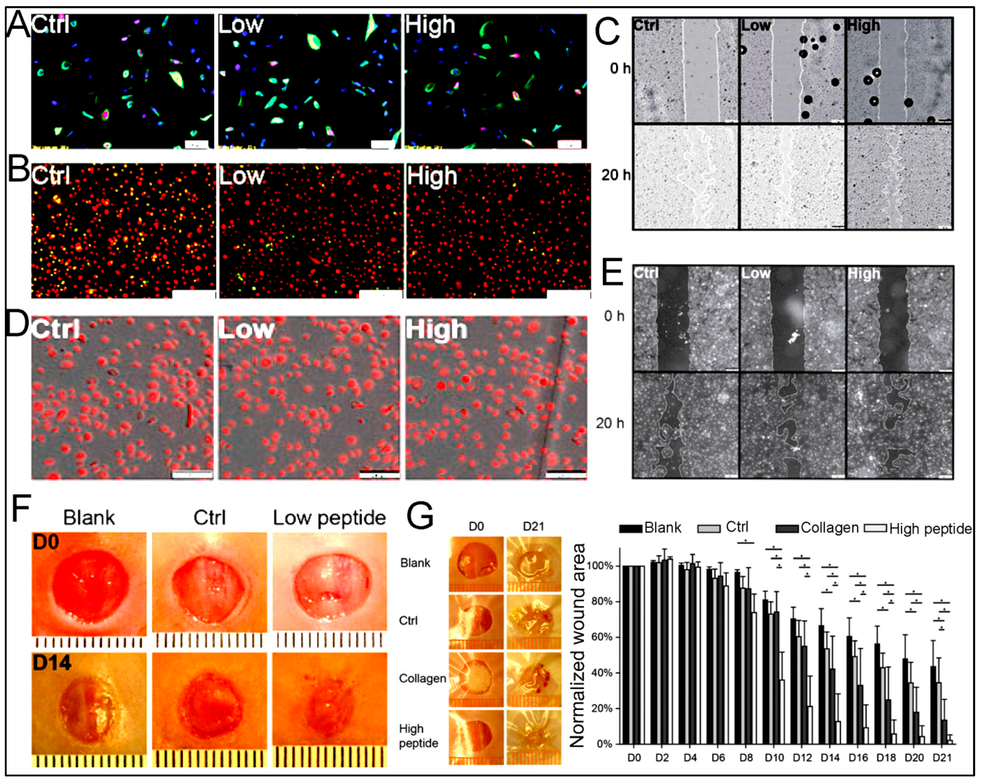 Polymers 15 01160 g015 Polymers 15 01160 g015