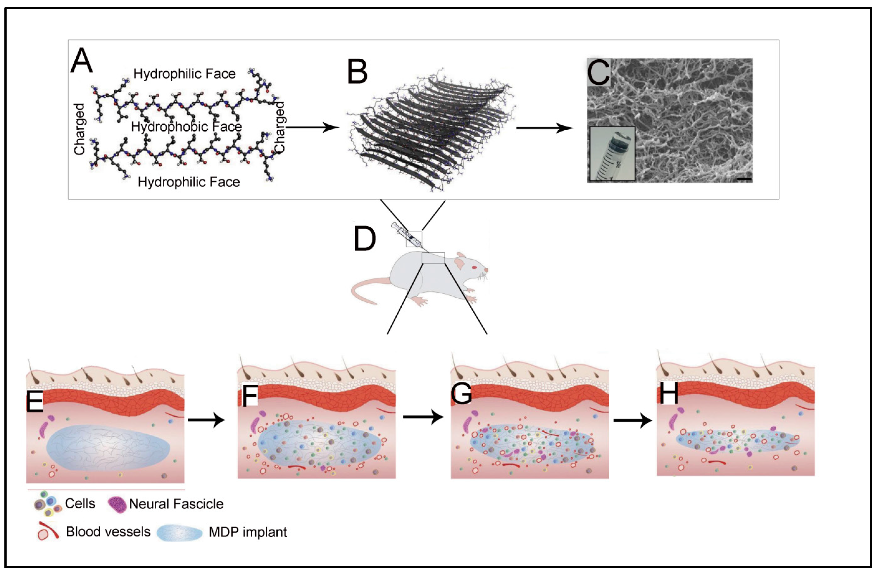 Polymers 15 01160 g016 Polymers 15 01160 g016