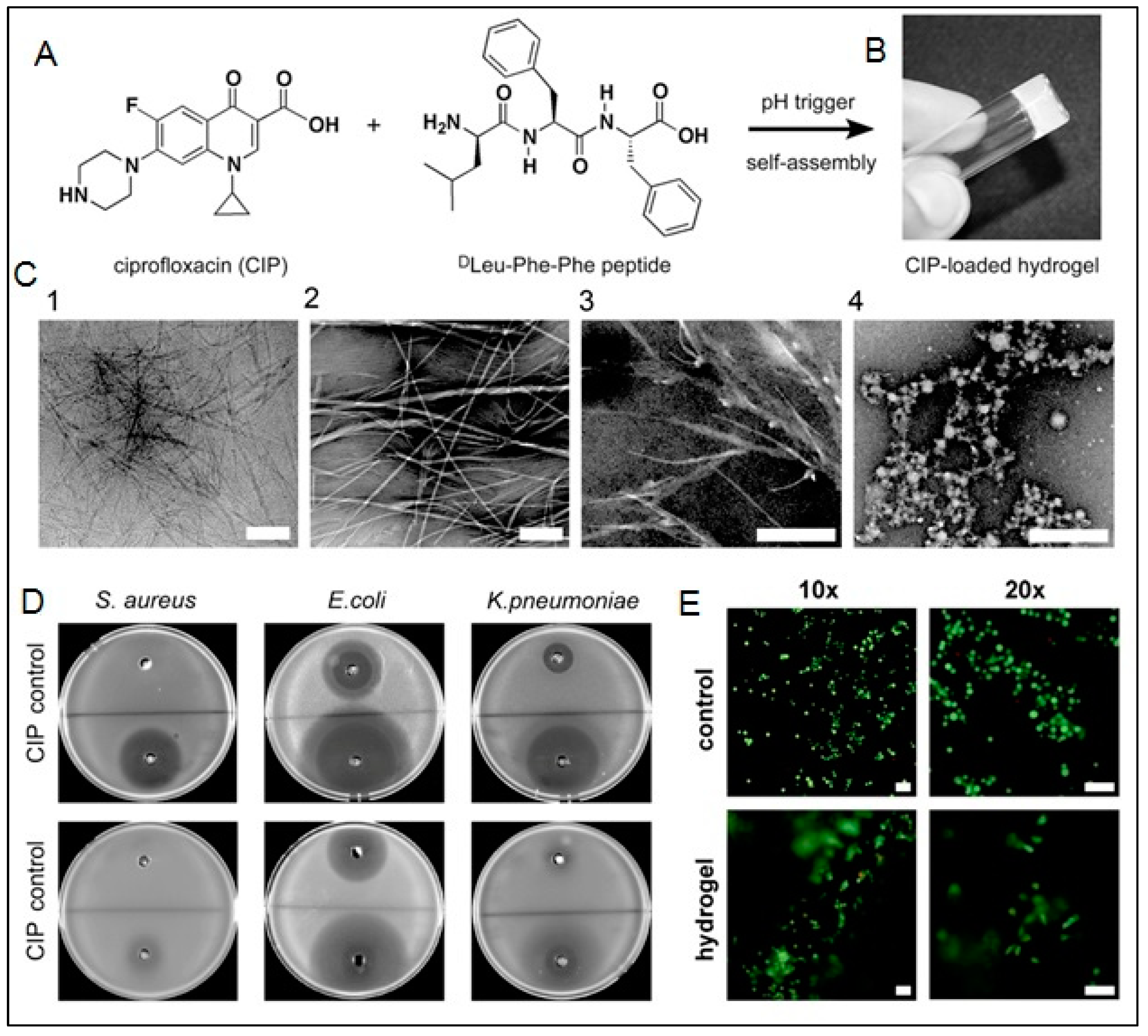 Polymers 15 01160 g017 Polymers 15 01160 g017