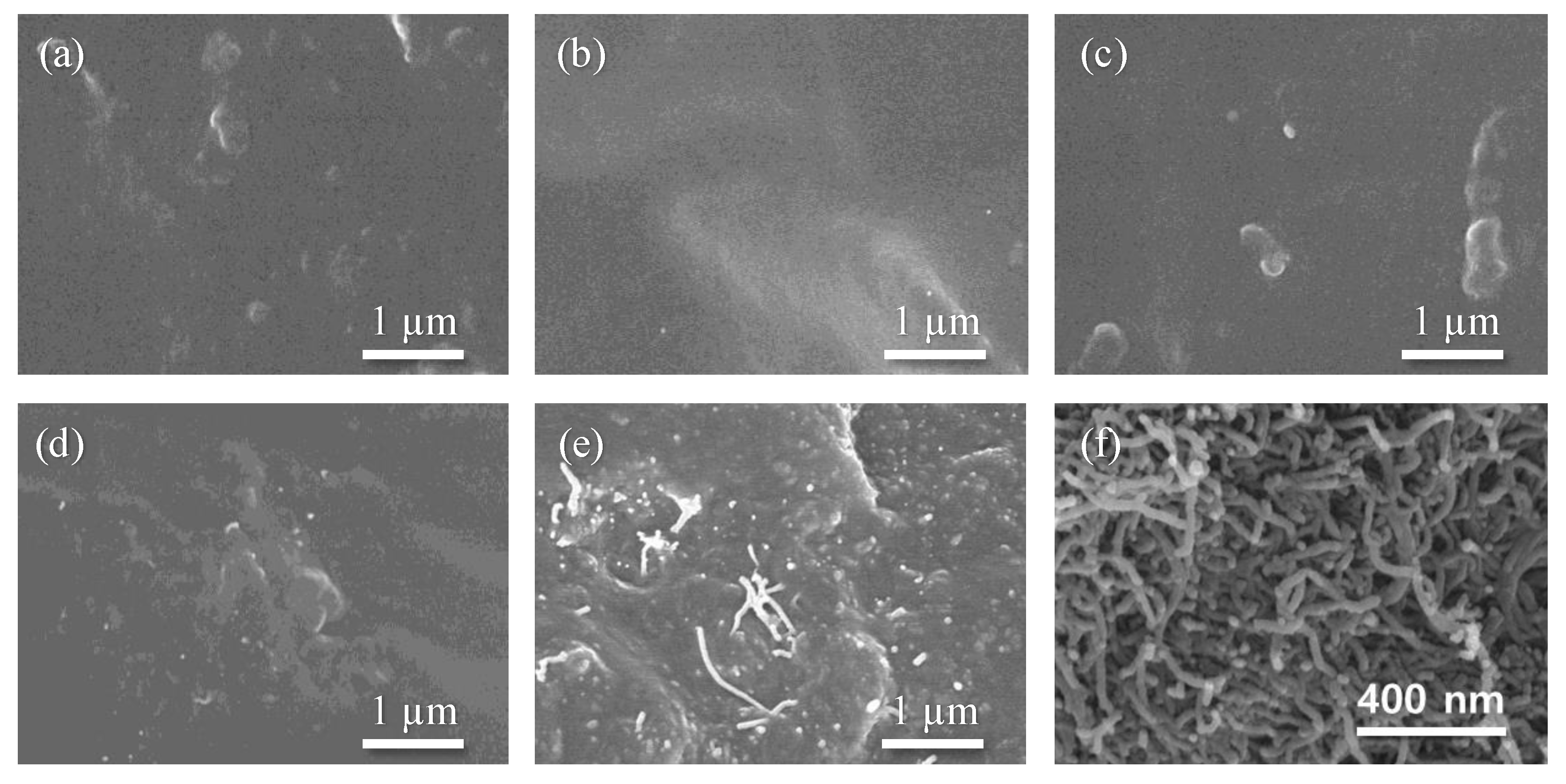 Polymers 15 01171 g002 Polymers 15 01171 g002