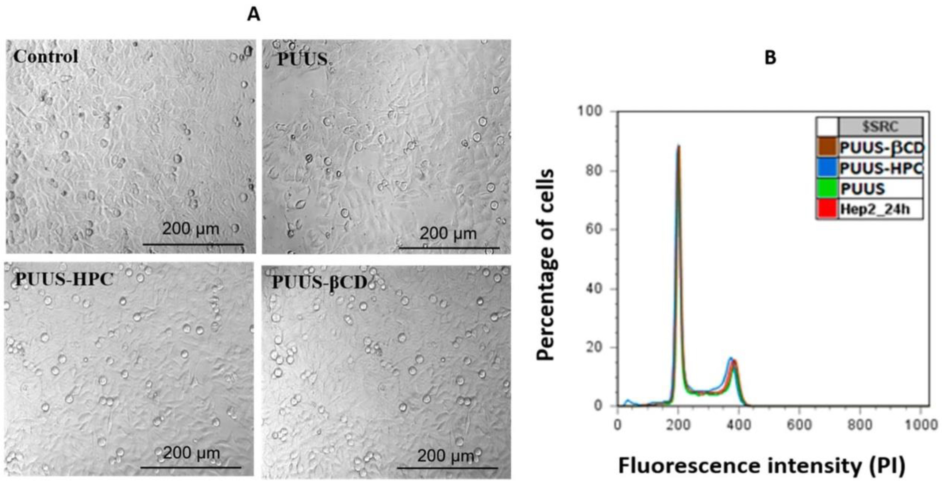 Polymers 15 01174 g005 Polymers 15 01174 g005
