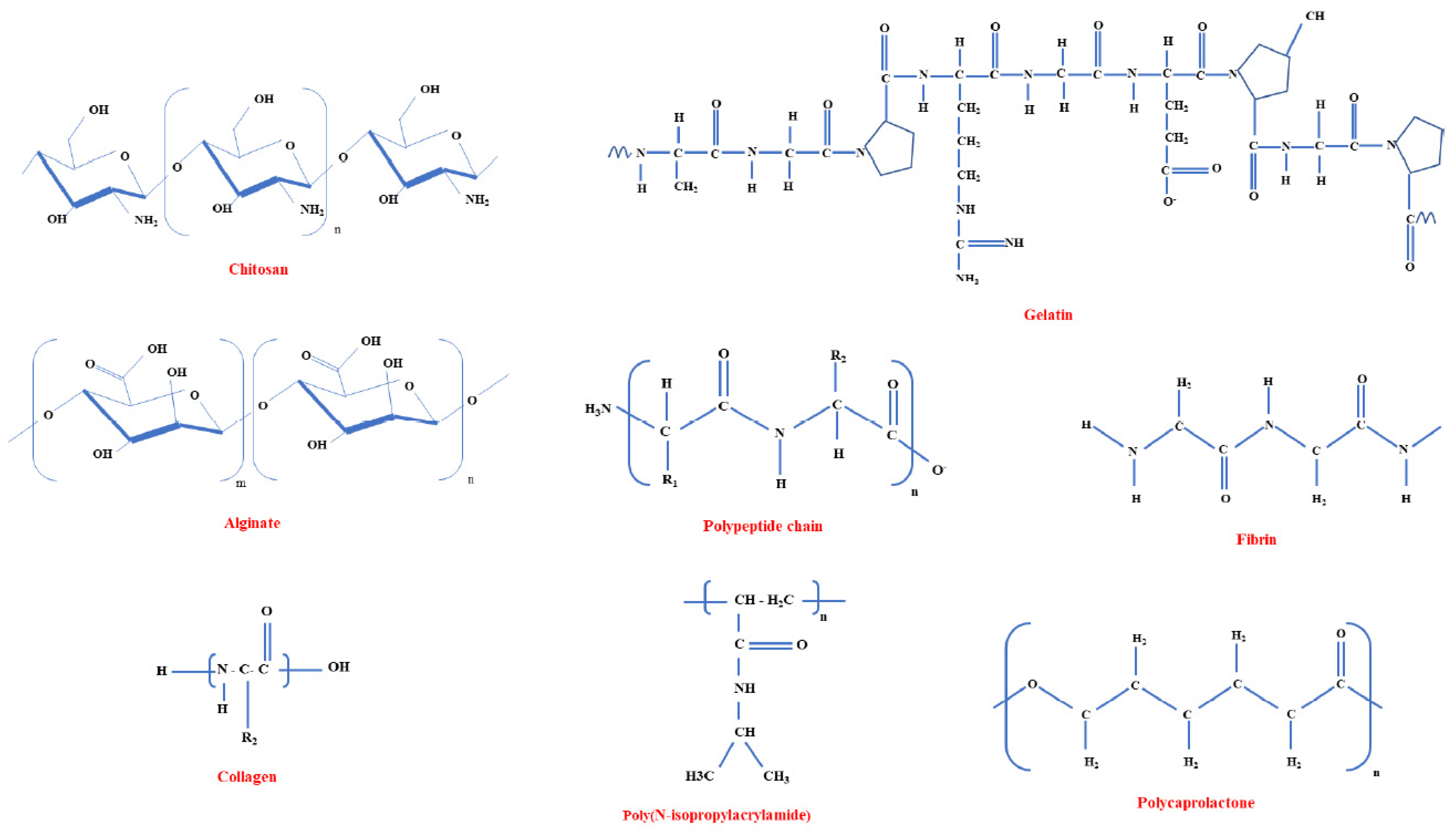 Polymers 15 01177 g005