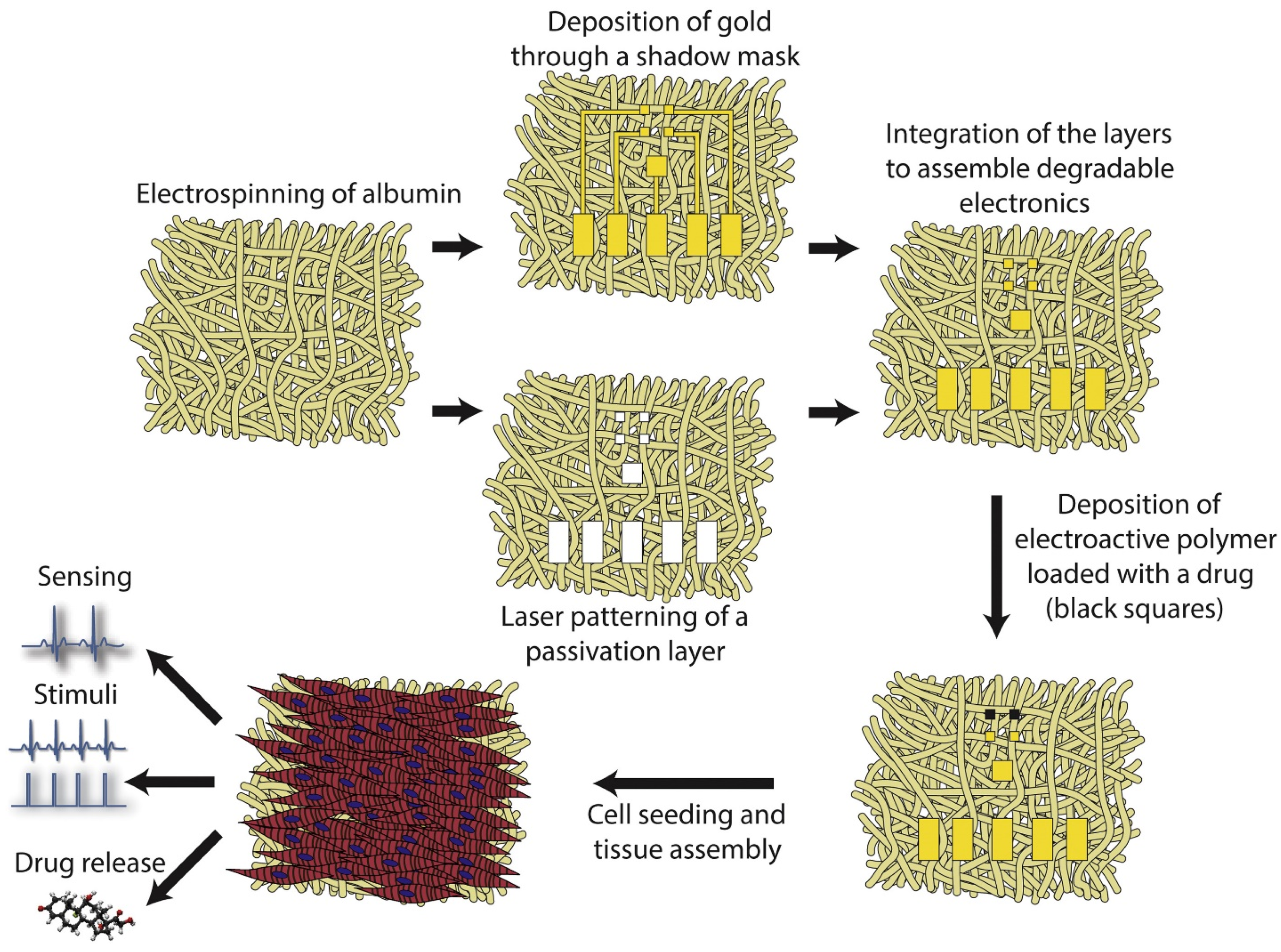Polymers 15 01177 g007
