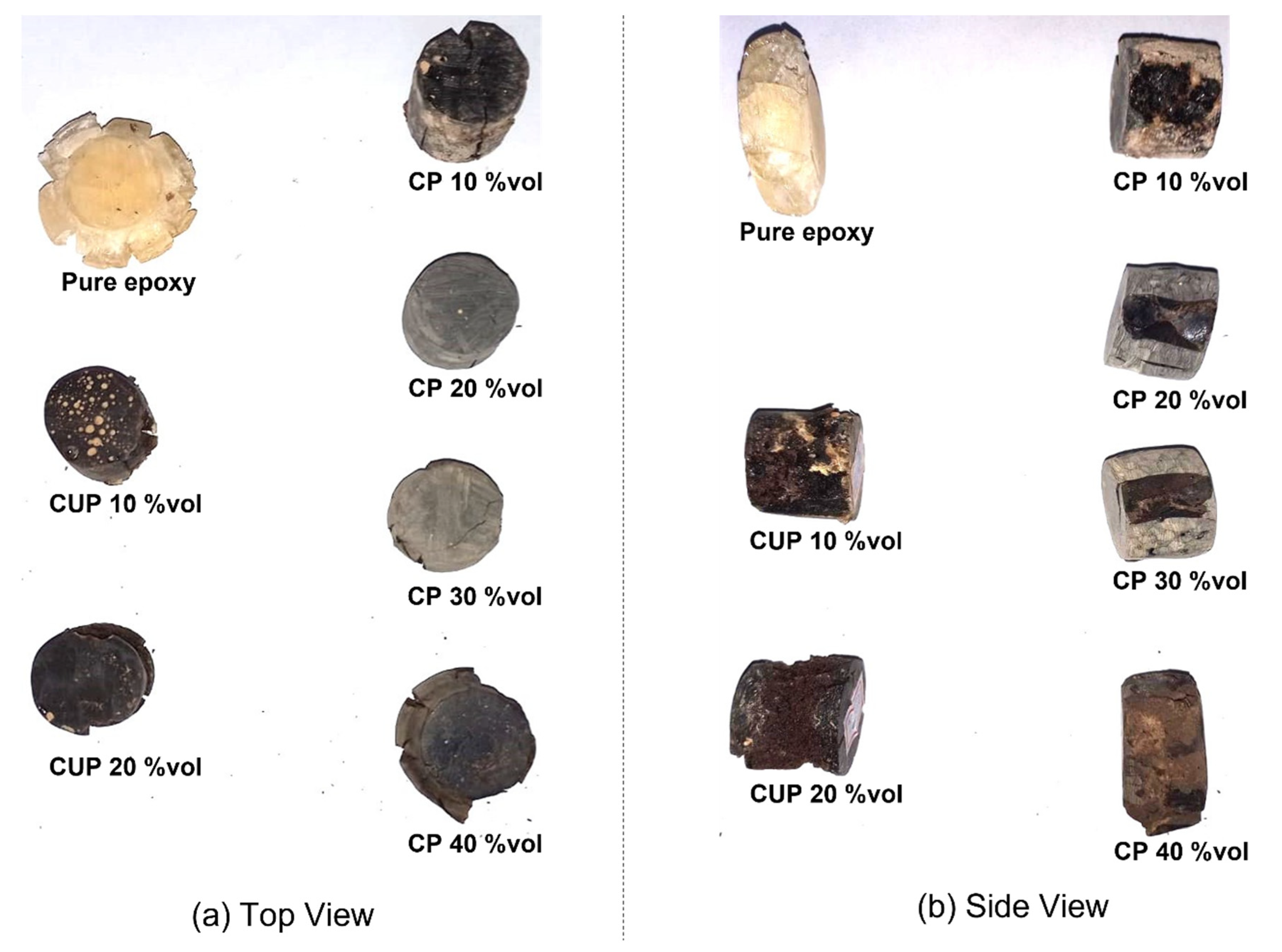 Polymers 15 01195 g010