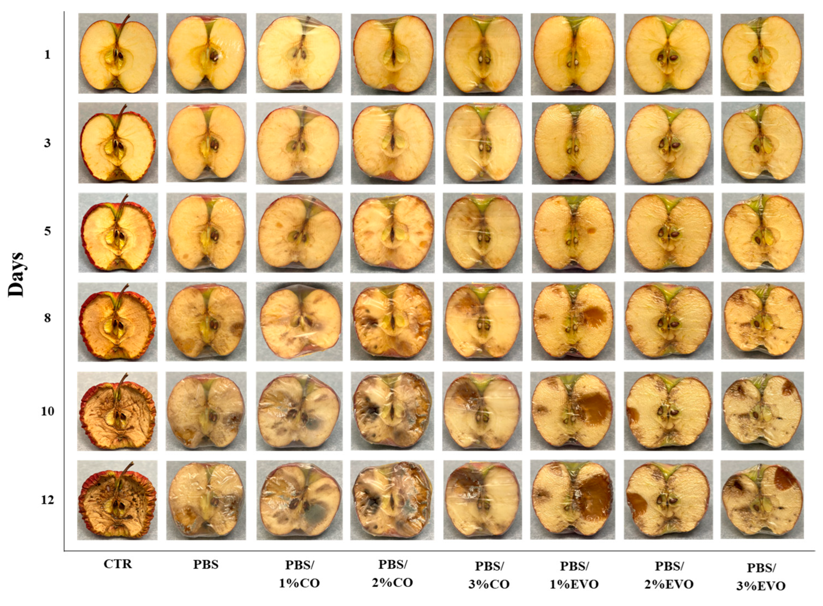 Polymers 15 01212 g010 Polymers 15 01212 g010