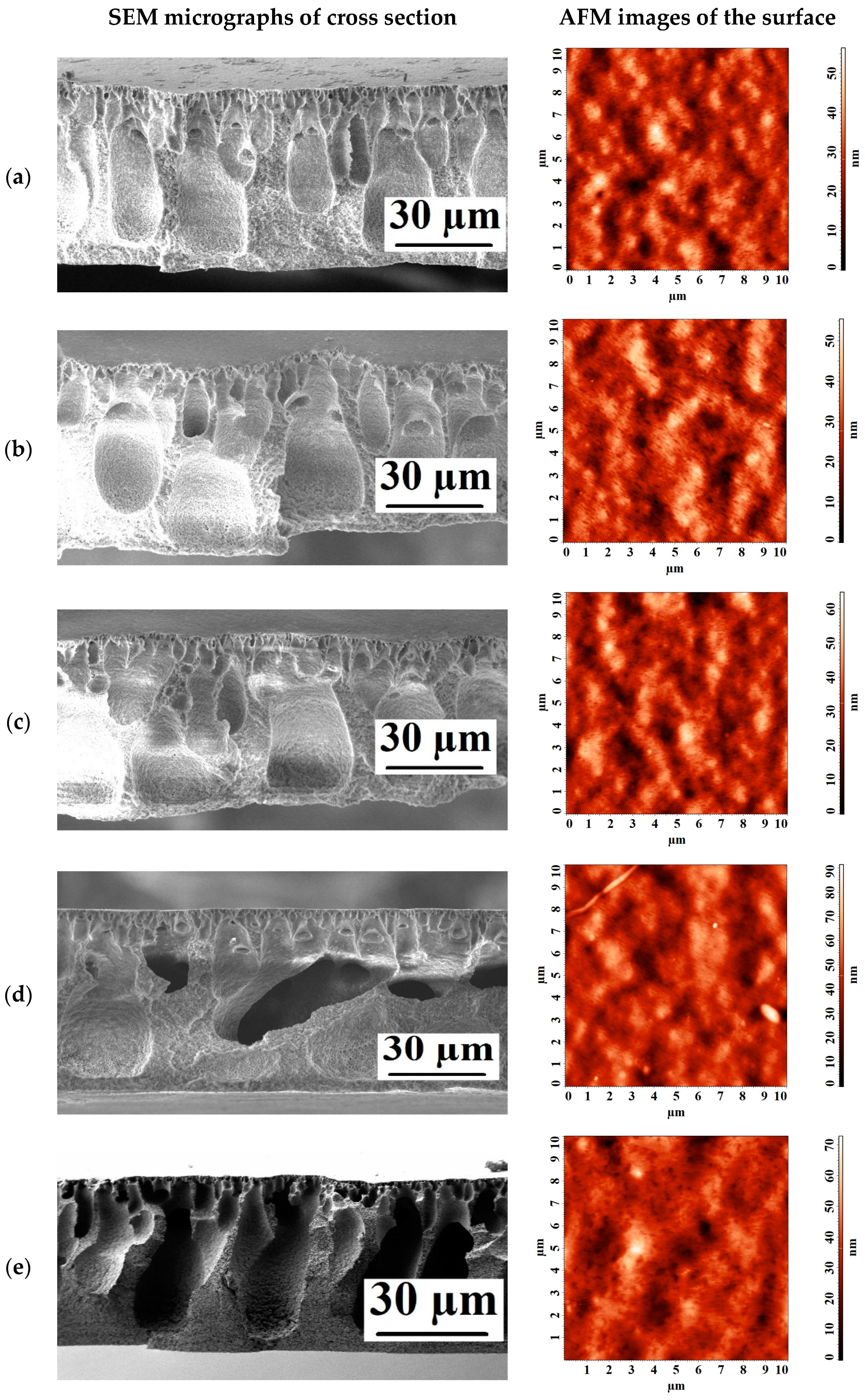 Polymers 15 01222 g005 Polymers 15 01222 g005