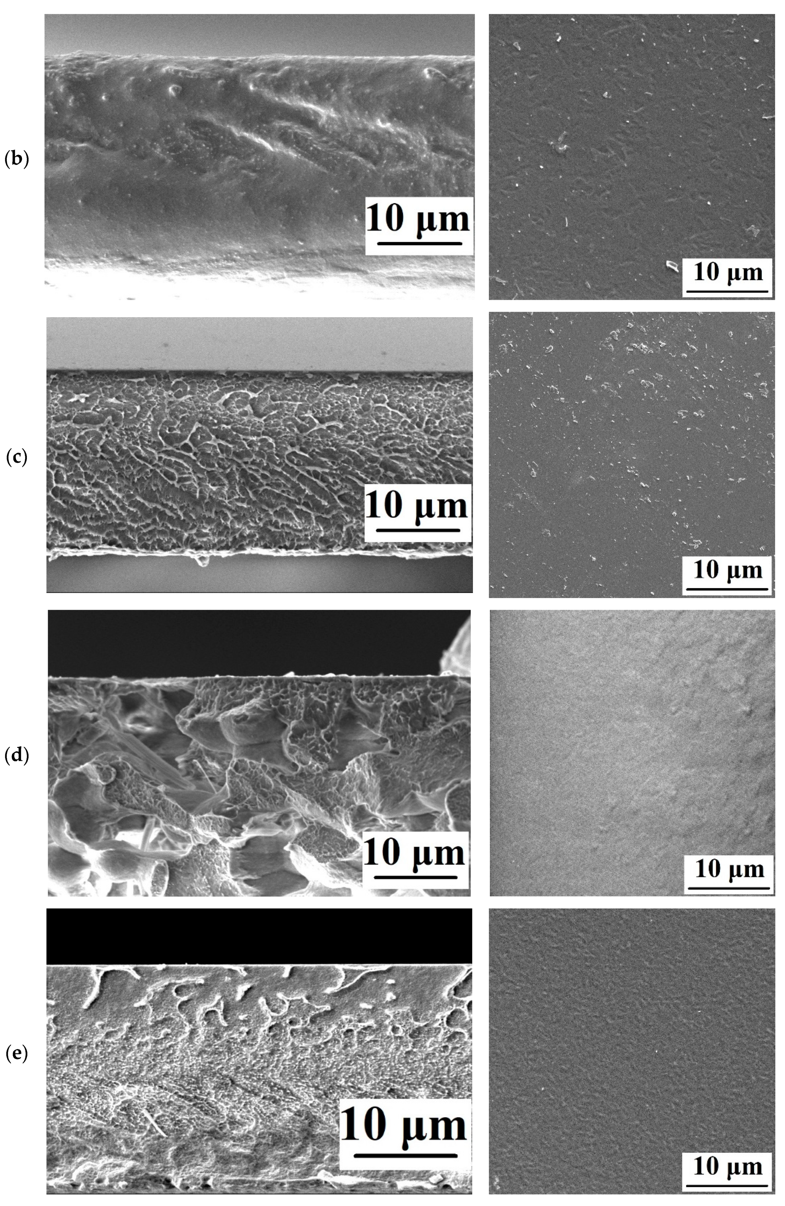 Polymers 15 01222 g009b Polymers 15 01222 g009b