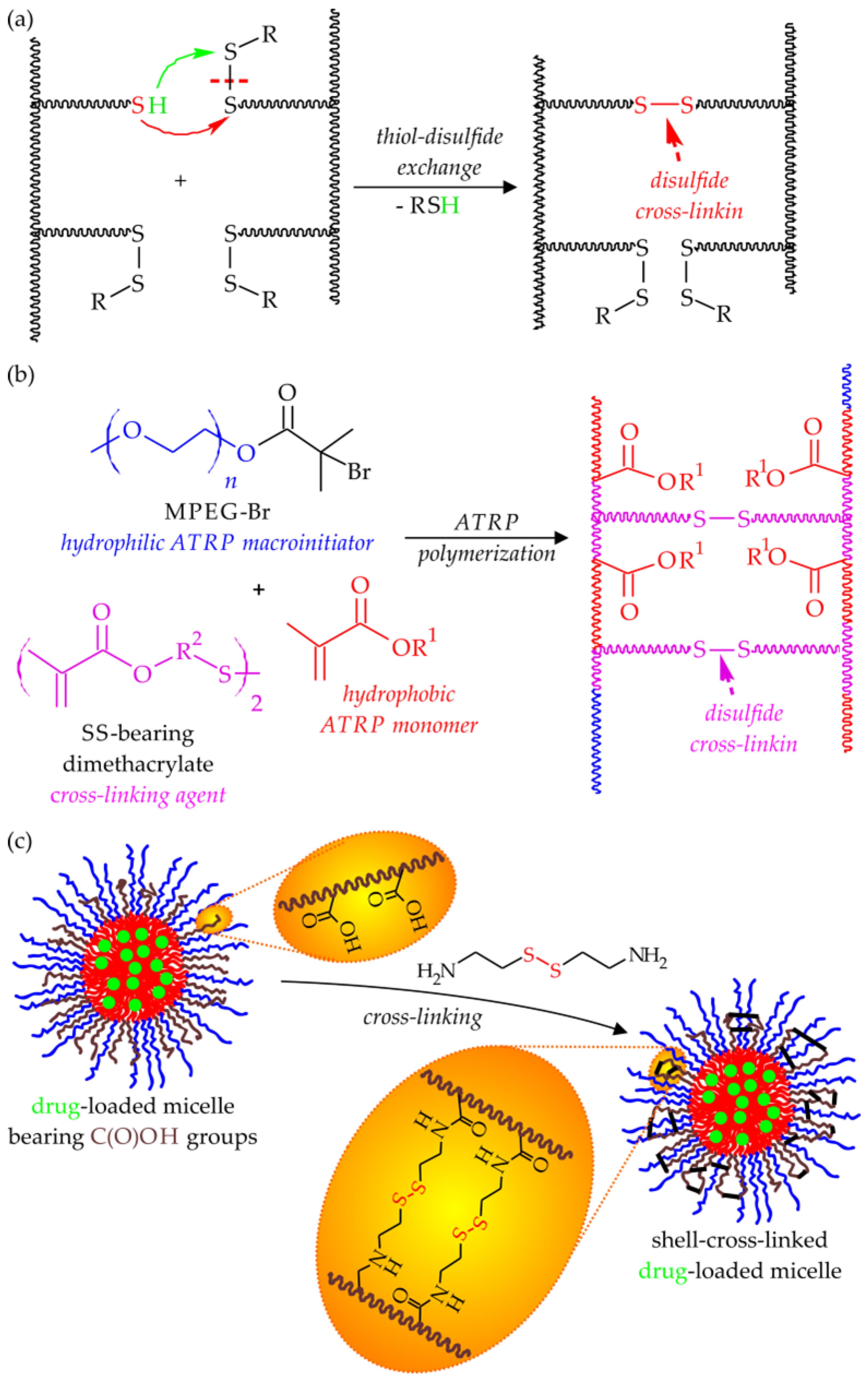 Polymers | Free Full-Text | Recent Advances In The Application Of ATRP ...